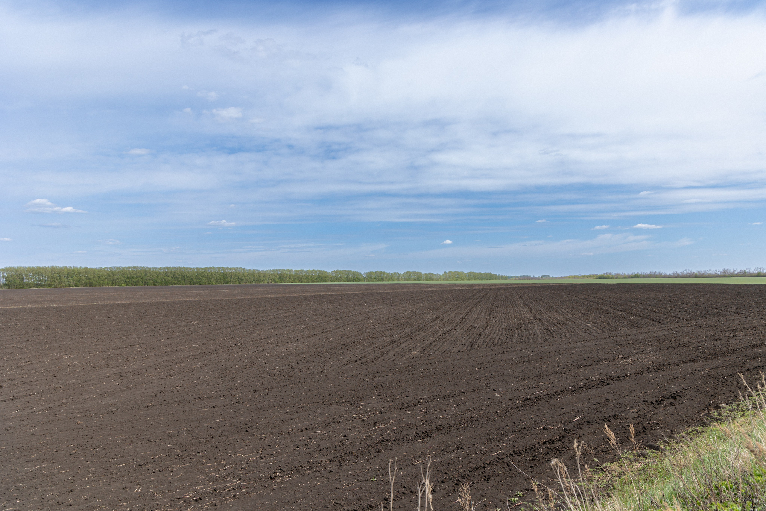 Земельный участок с объектами на нём. Владислав Волков | Фотография и видеосъемка в Воронеже