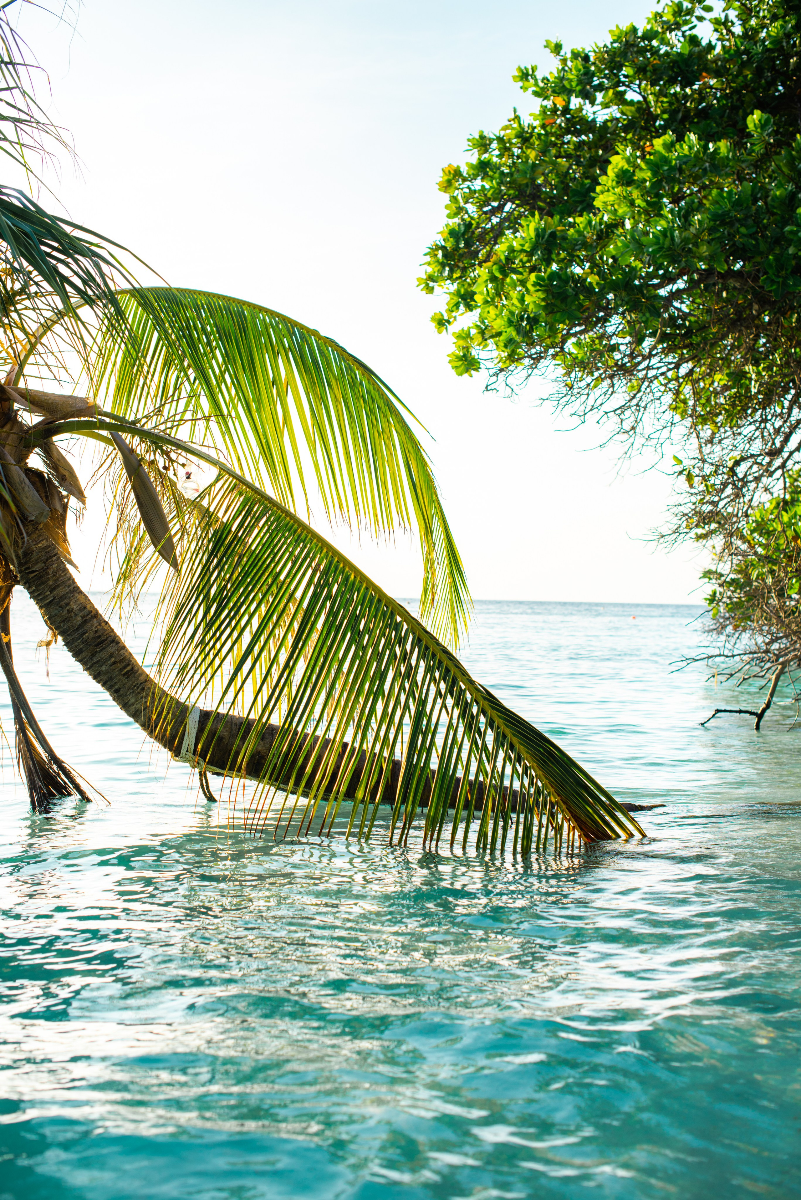 Мальдивы. Фотограф Алиса Аспер