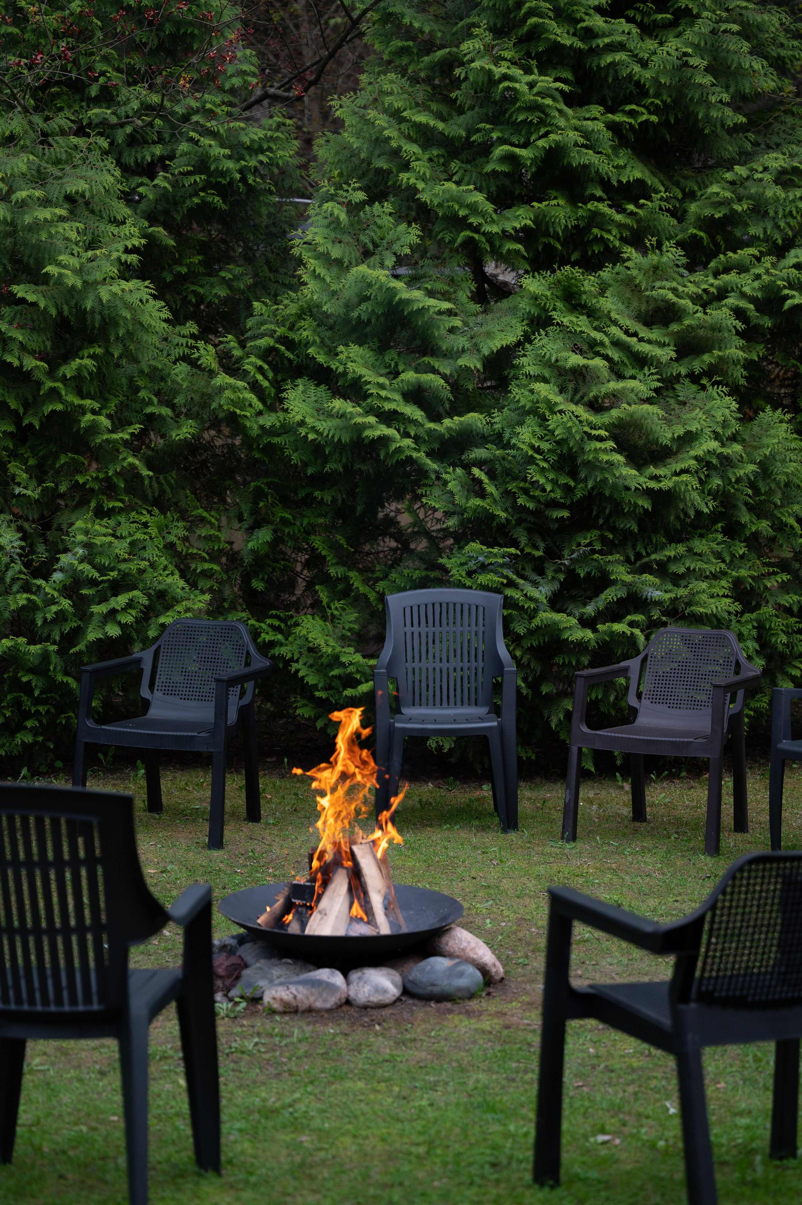 Благотворительный фонд “Жизнь одна”. Мир живой фотографии о Вас и для Вас