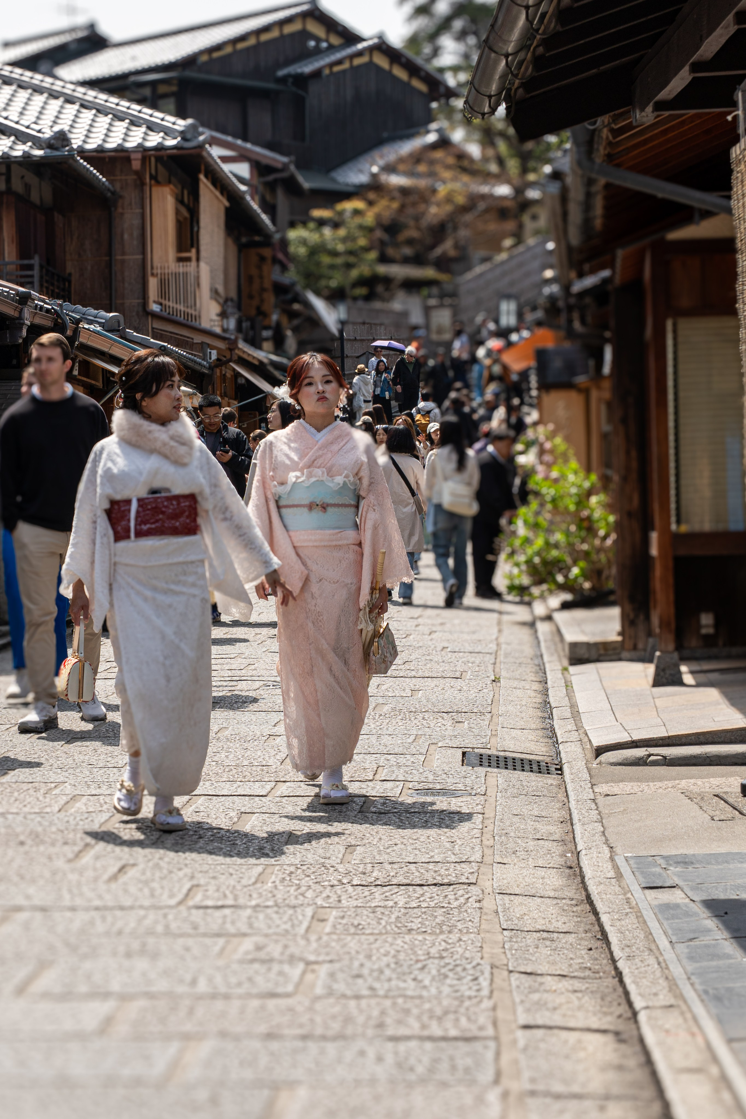 Япония, сакура. Творческие сьемки