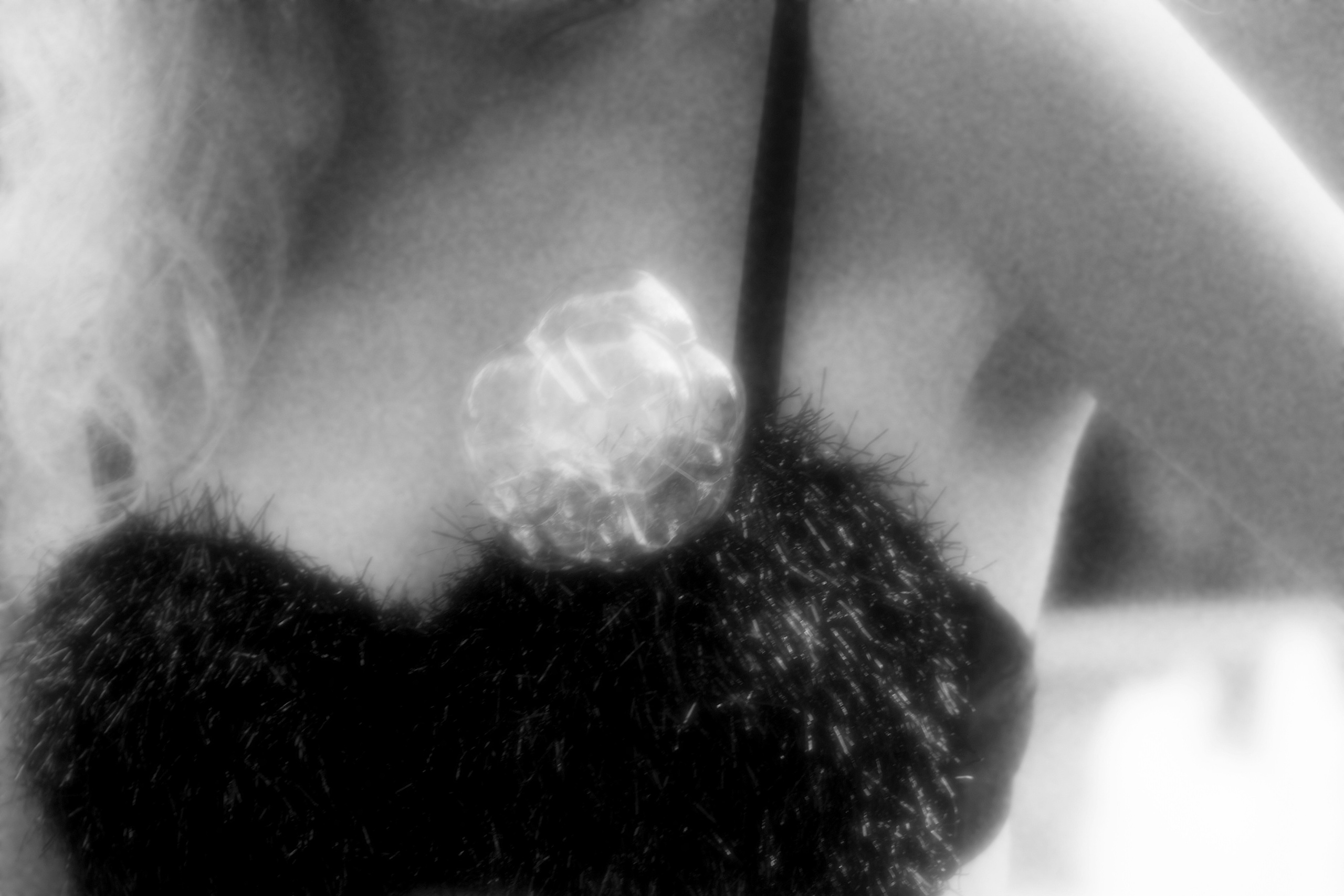 Park of Surprise. Fashion Photographer Oxana Chernomorets