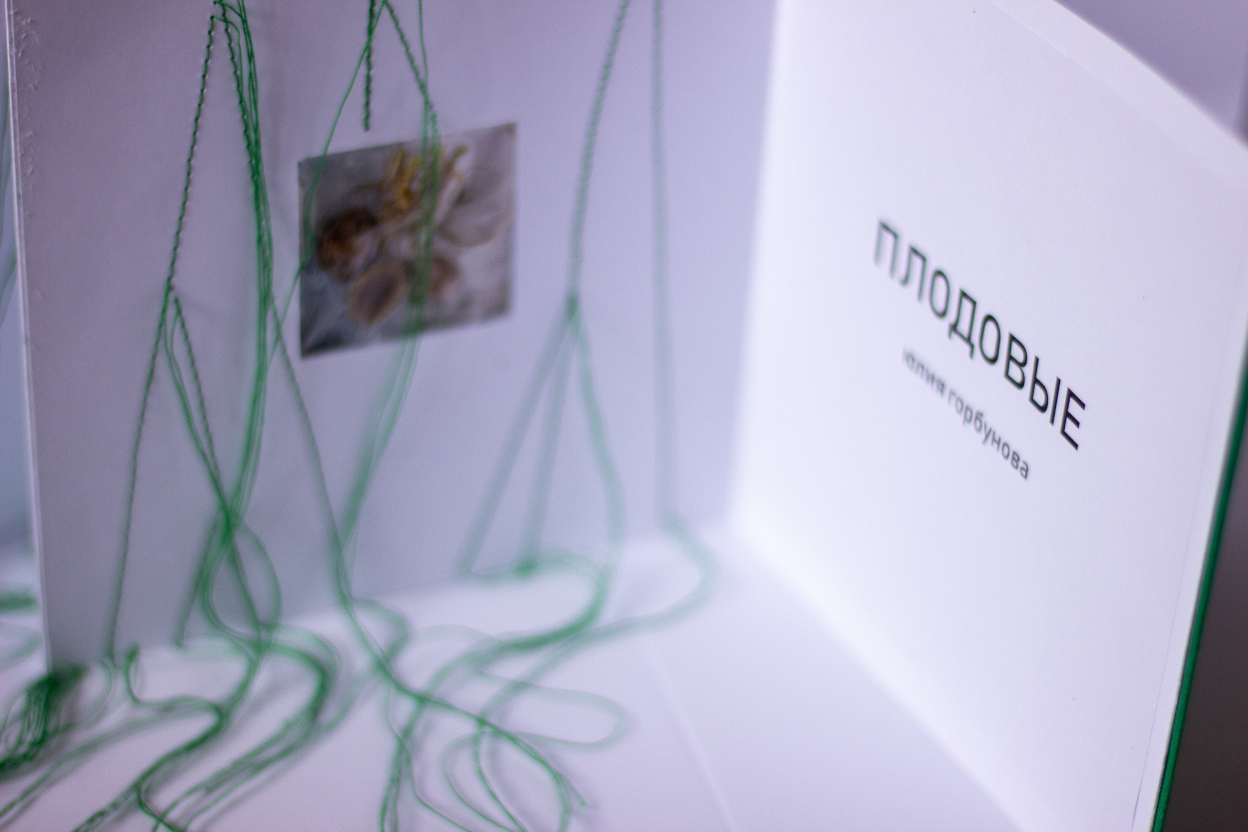 Плодовые (2024 — в процессе). Julia Gorbunova