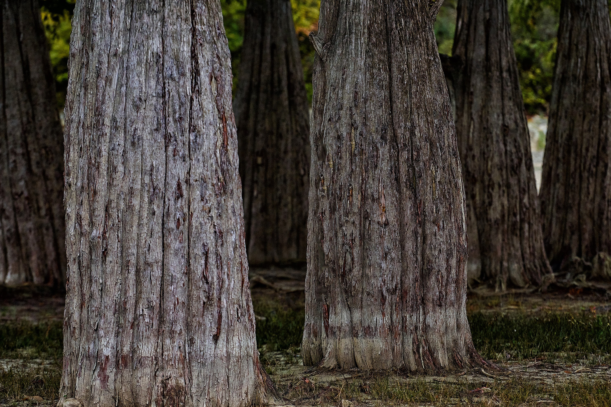 Текстуры и другие фоны. Textures and other. Яркие фото на Чёрном море