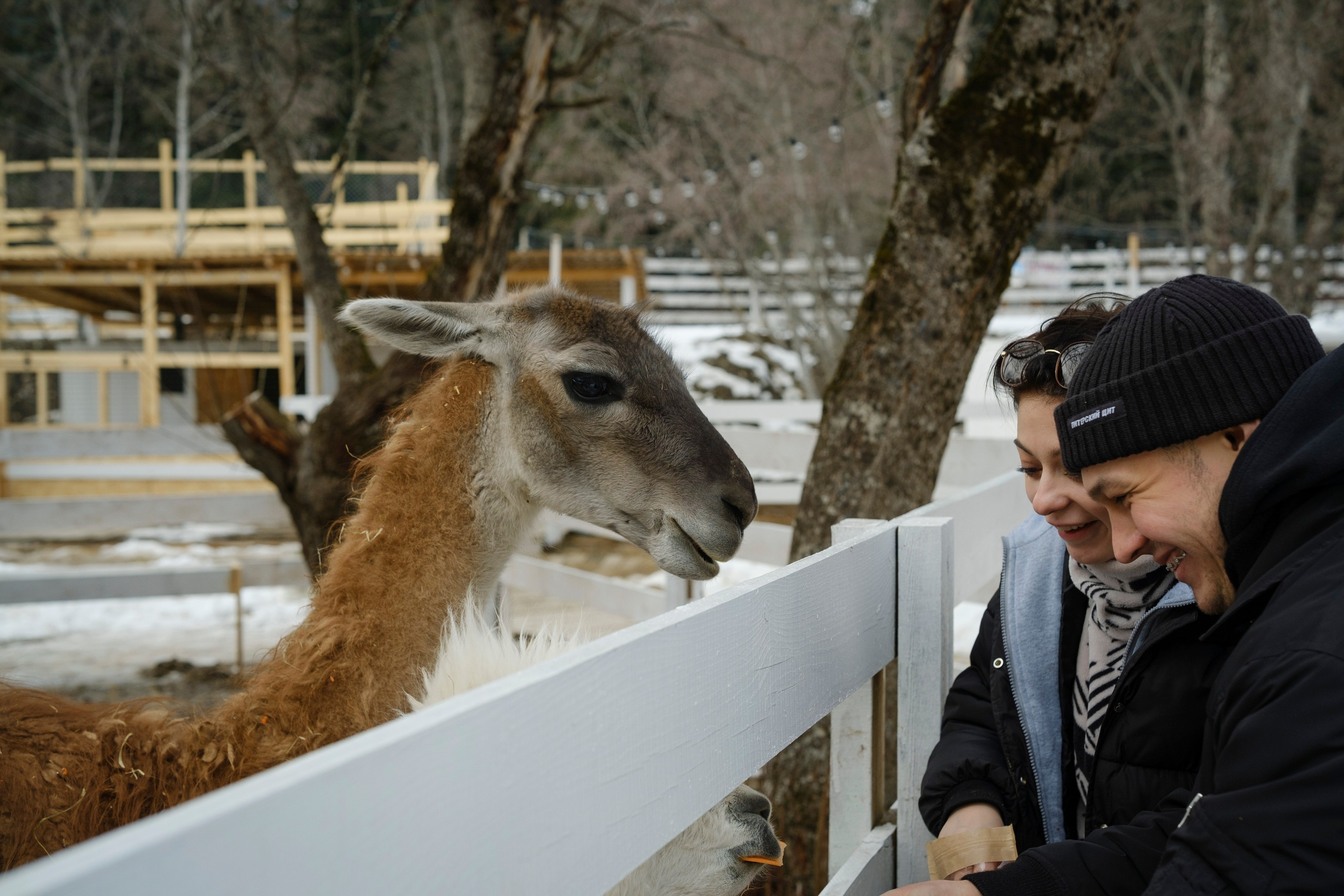 Архыз 9-11 02 24. Главная