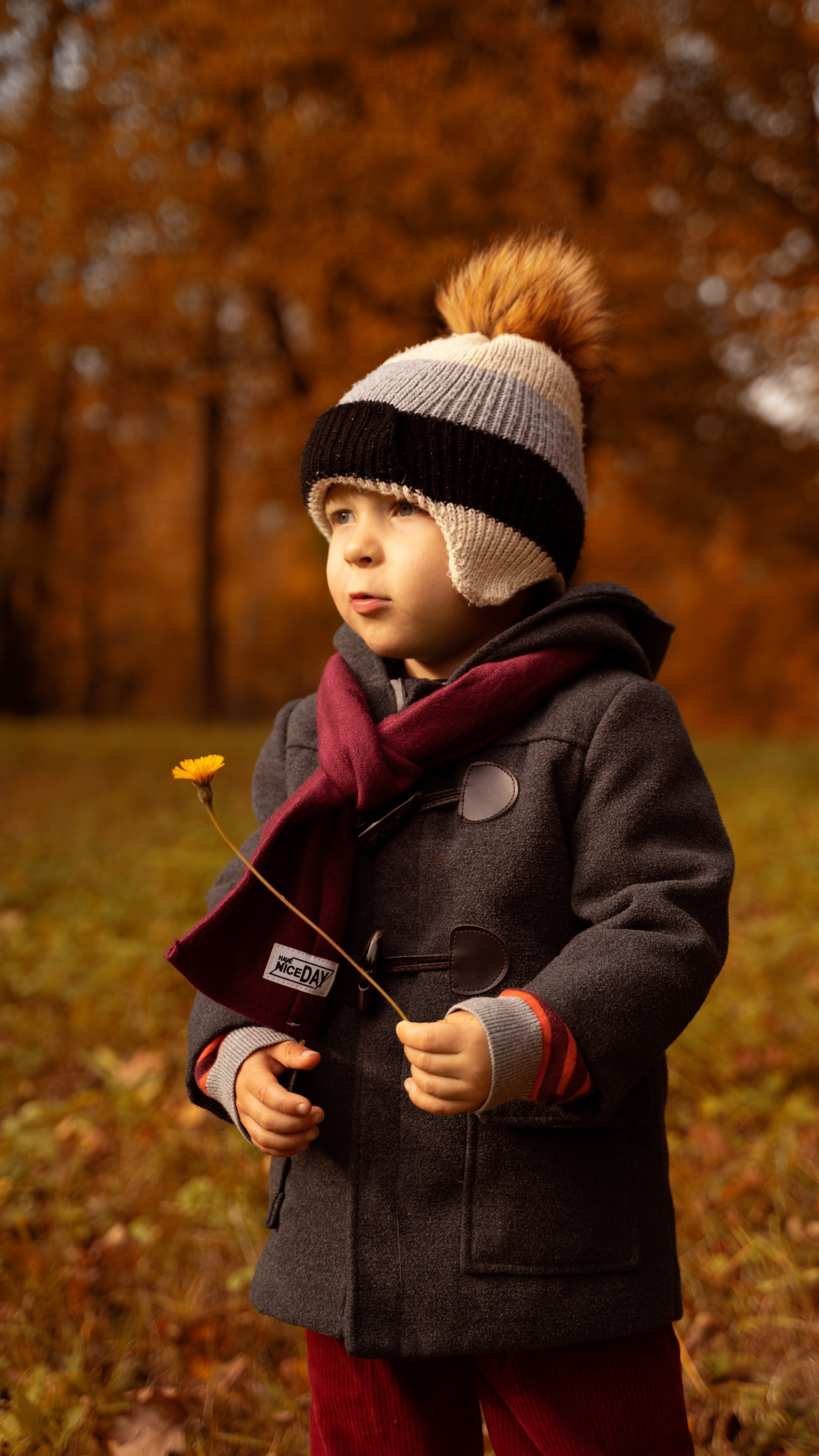 Дмитрий Юлия и Мишенька. Свадебный фотограф Санкт-Петербург, Сочи, Питер, Выборг, Луга, Псков