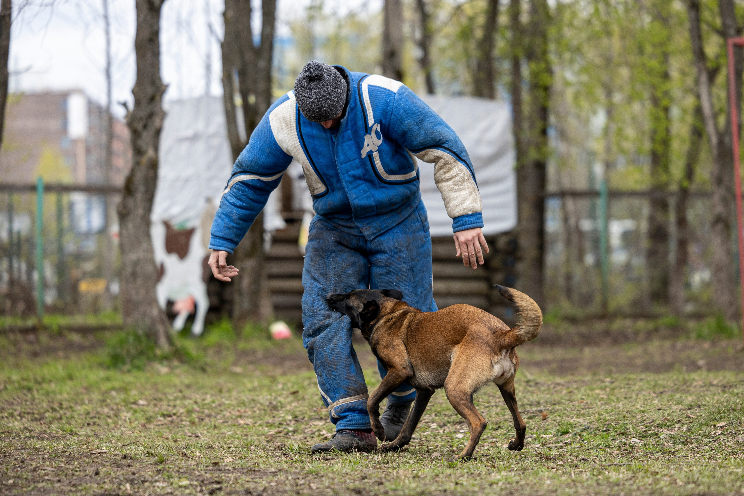 Квалификационные состязания по мондьорингу г. Вологда 11.05.24. Фотограф-анималист Анна Маринич