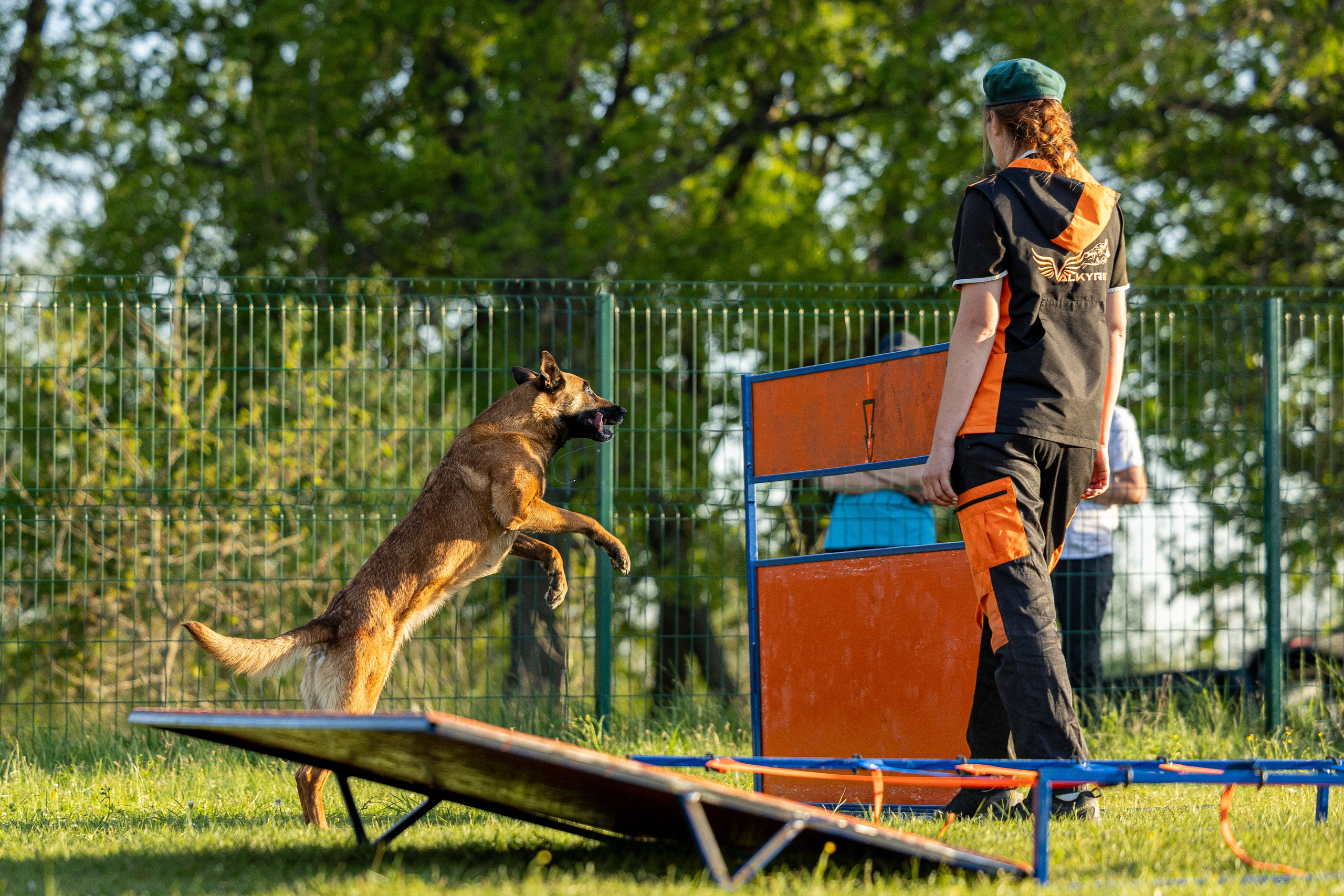 Испытания по мондьорингу в Нижнем Новгороде. Фотограф-анималист Анна Маринич