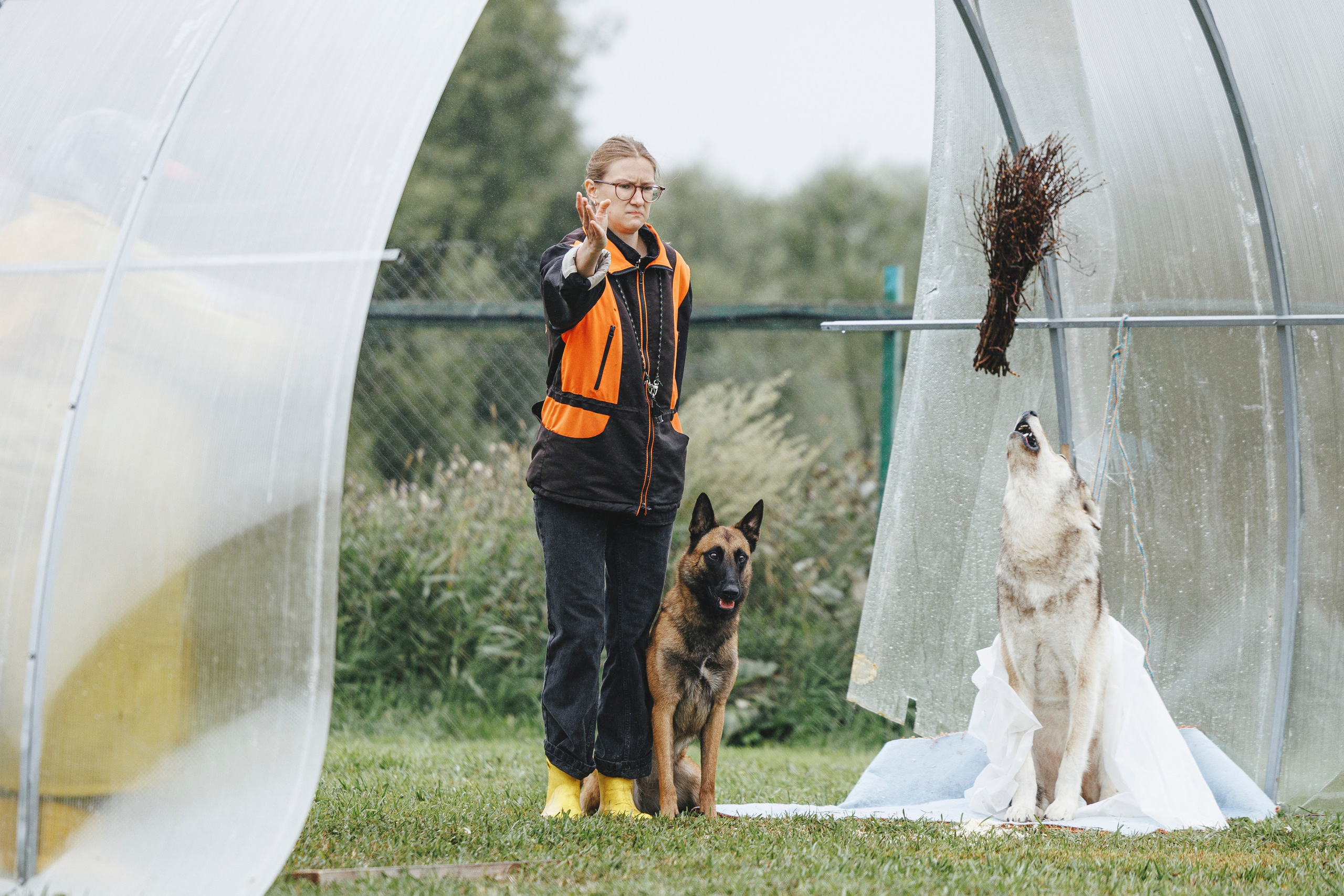 08.08.25-10.08.25 ЧР по мондьорингу г. Вологда. Фотограф-анималист Анна Маринич