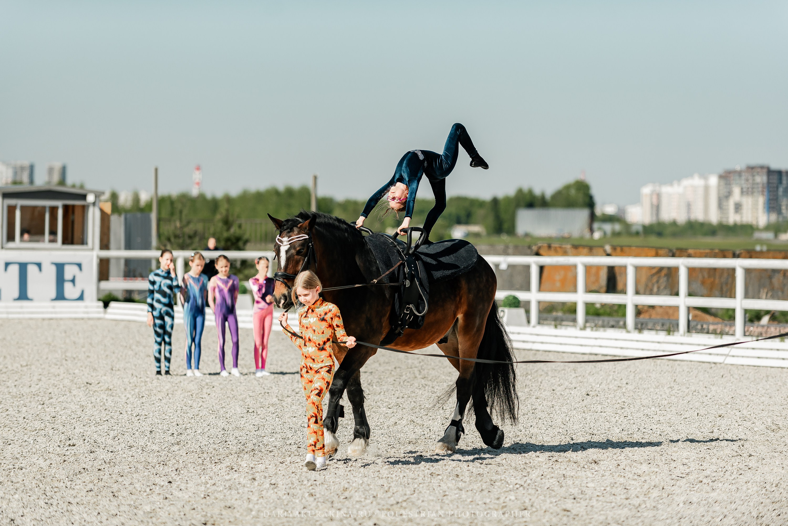 РЕПОРТАЖ МКК ВОЛЬТ «LA TULIPS». Конный фотограф Куракина Дарья • Фотосессии с лошадьми