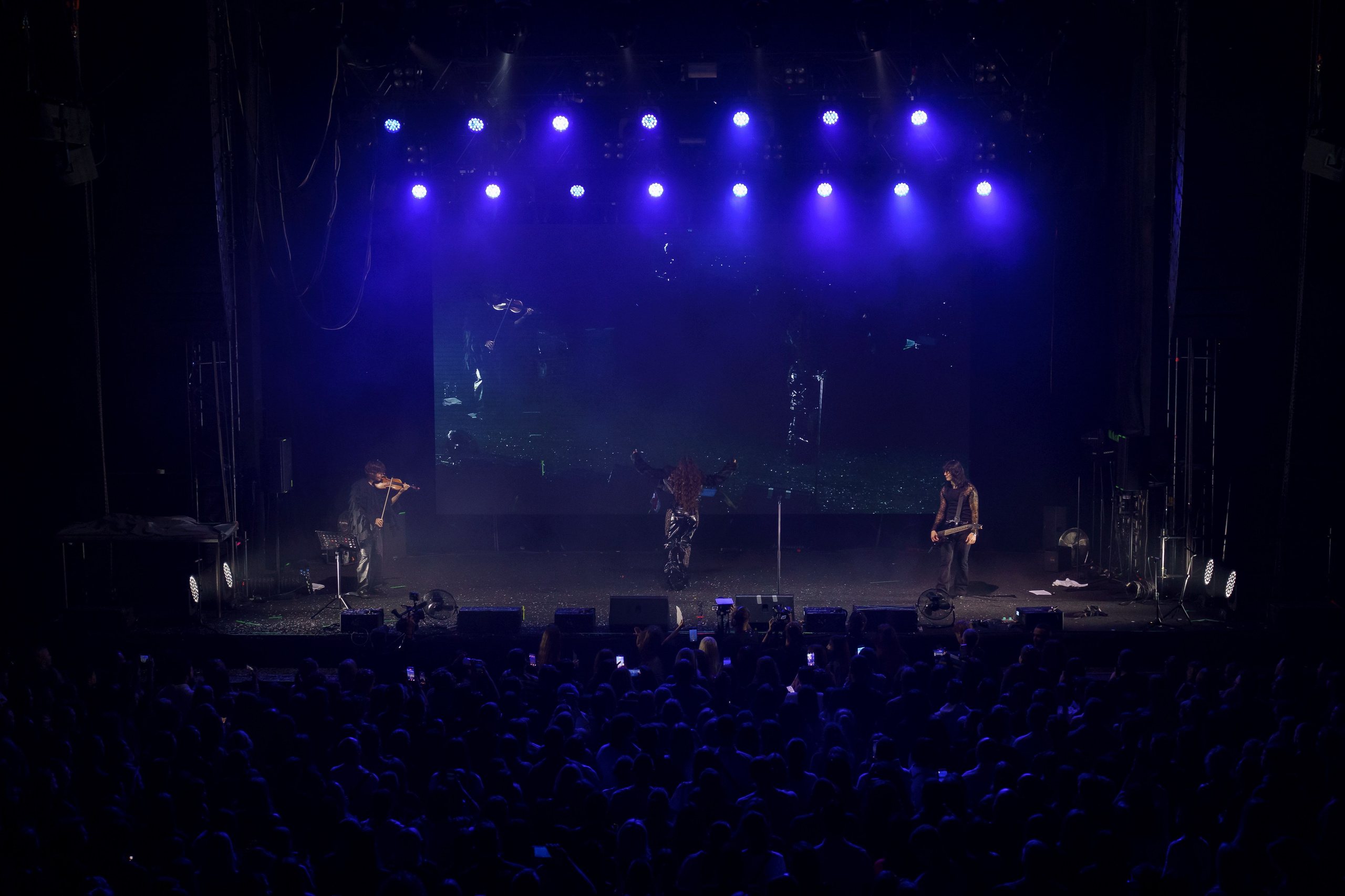 Концерт Bearwolf. Свадебный фотограф в Москве. Диана Грицай