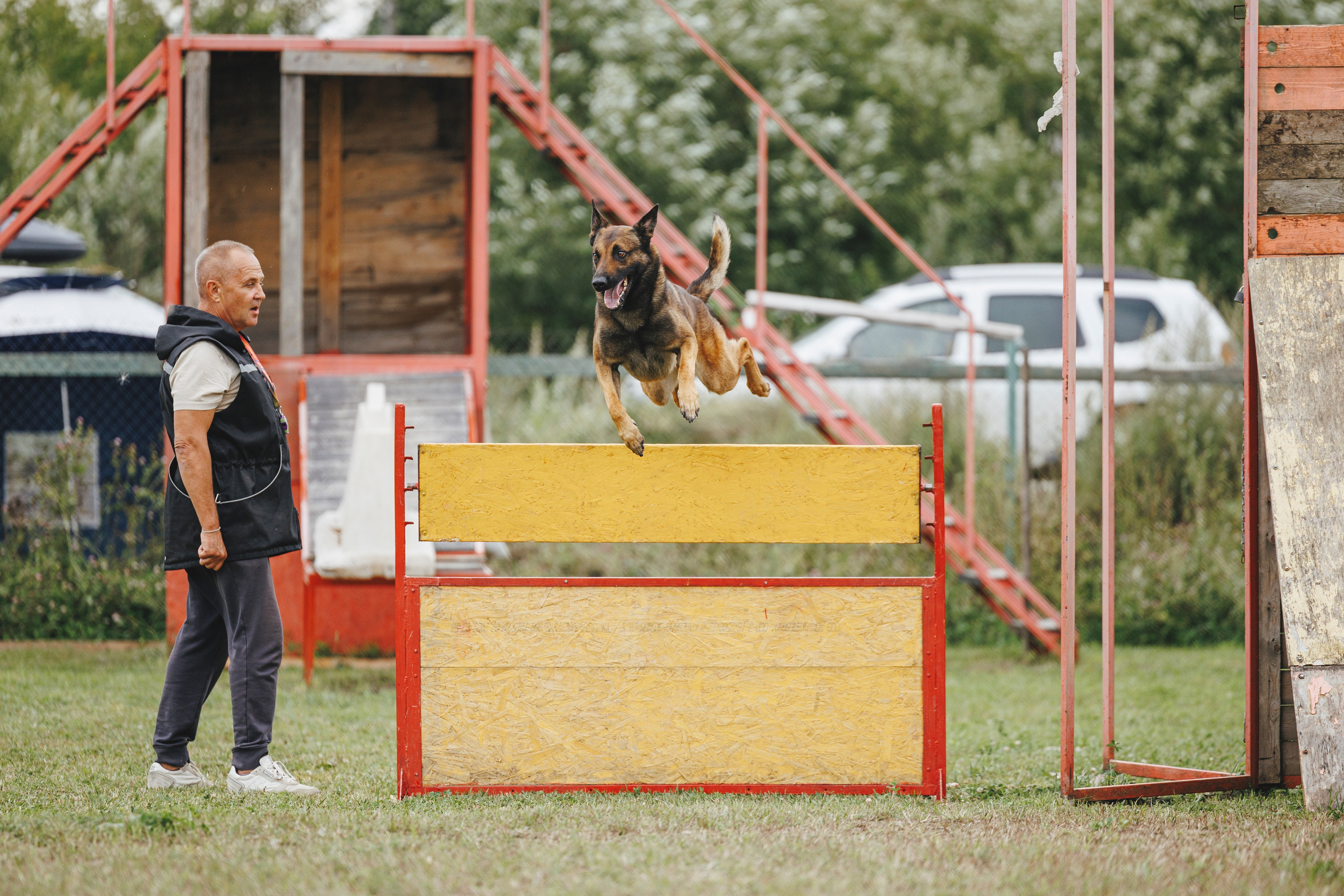 08.08.25-10.08.25 ЧР по мондьорингу г. Вологда. Фотограф-анималист Анна Маринич