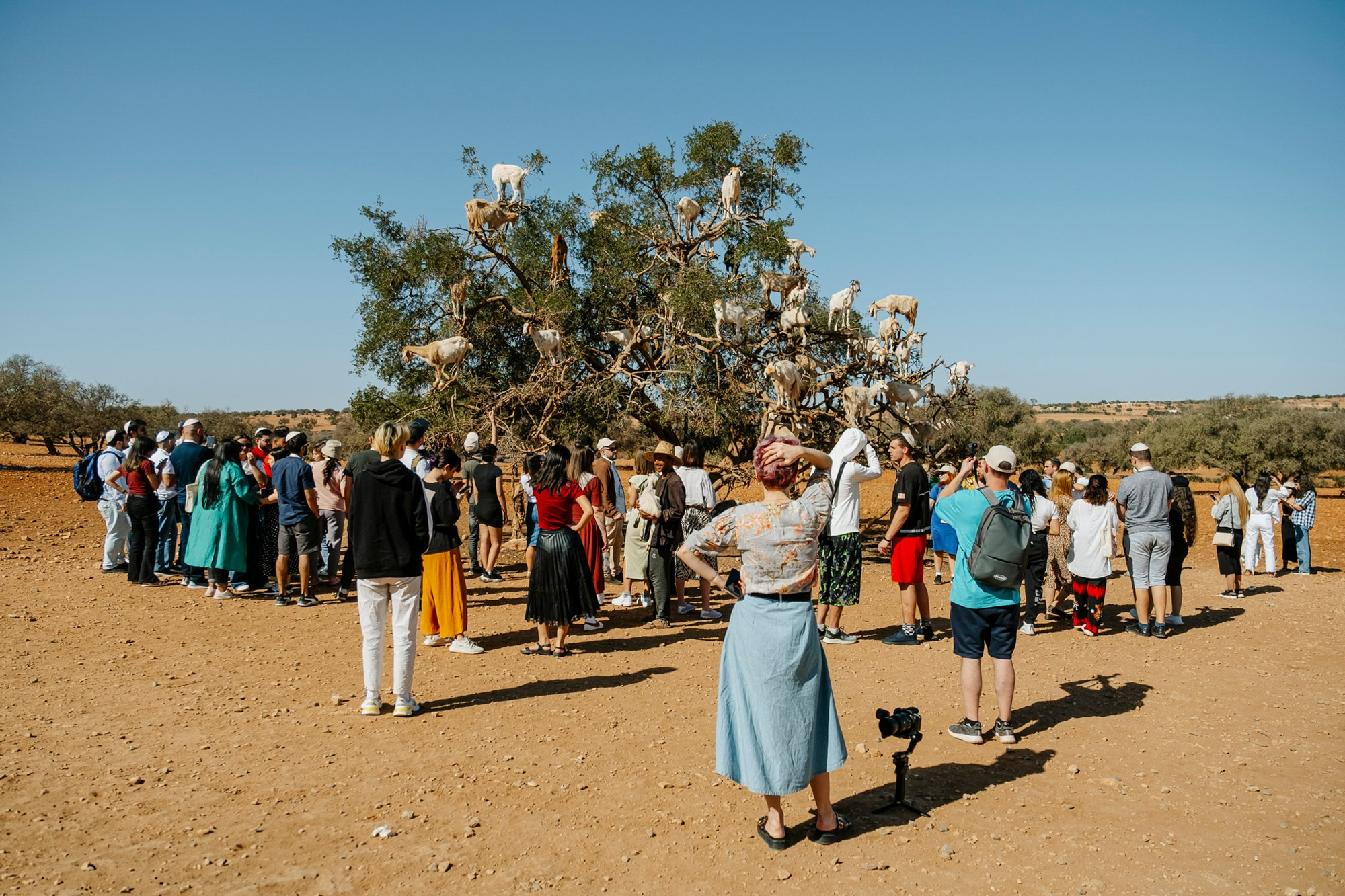 Марокко | город Эссуэйра. #фотокаквкино | Фотографирую людей