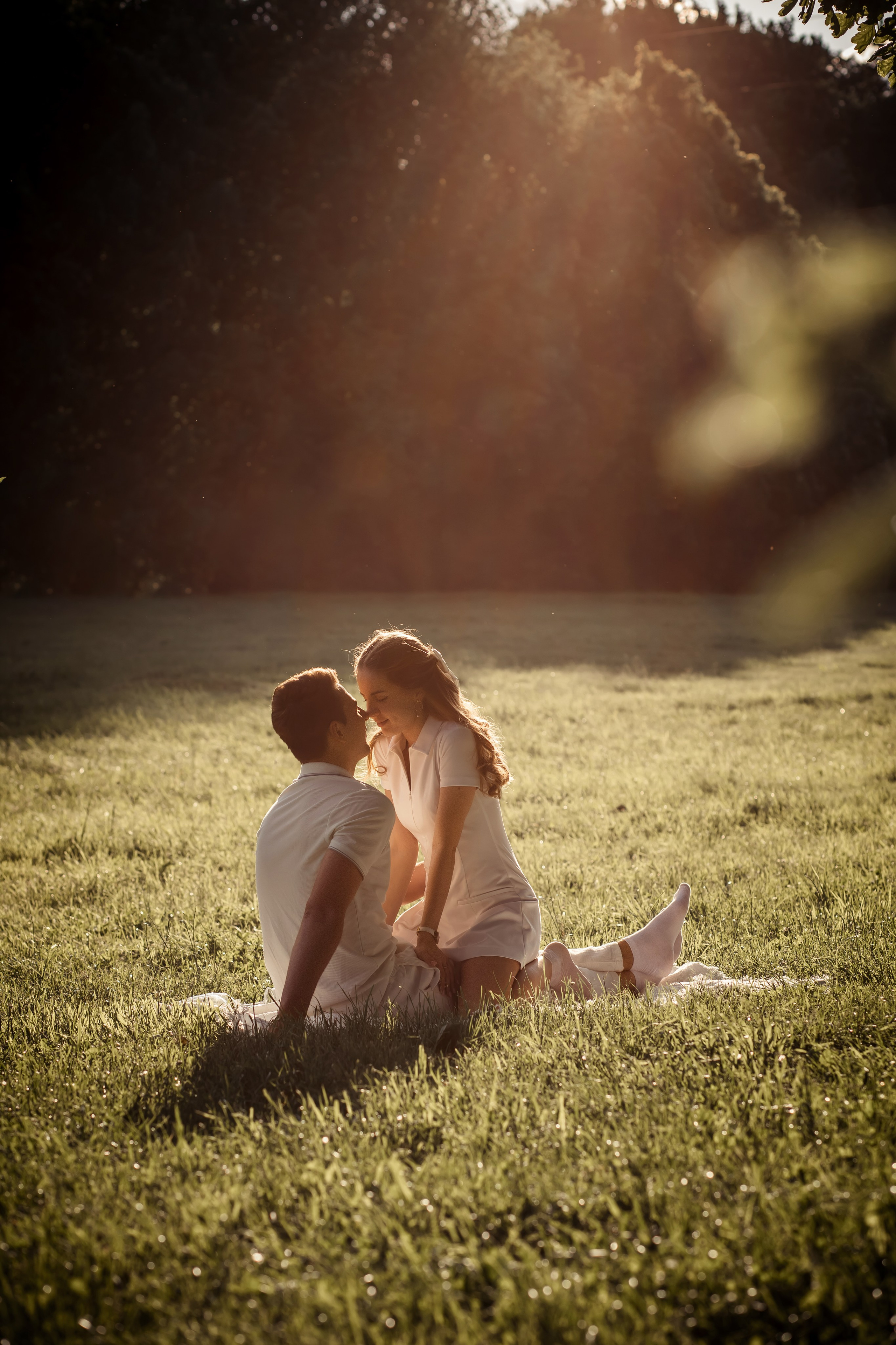 Предложение руки и сердца