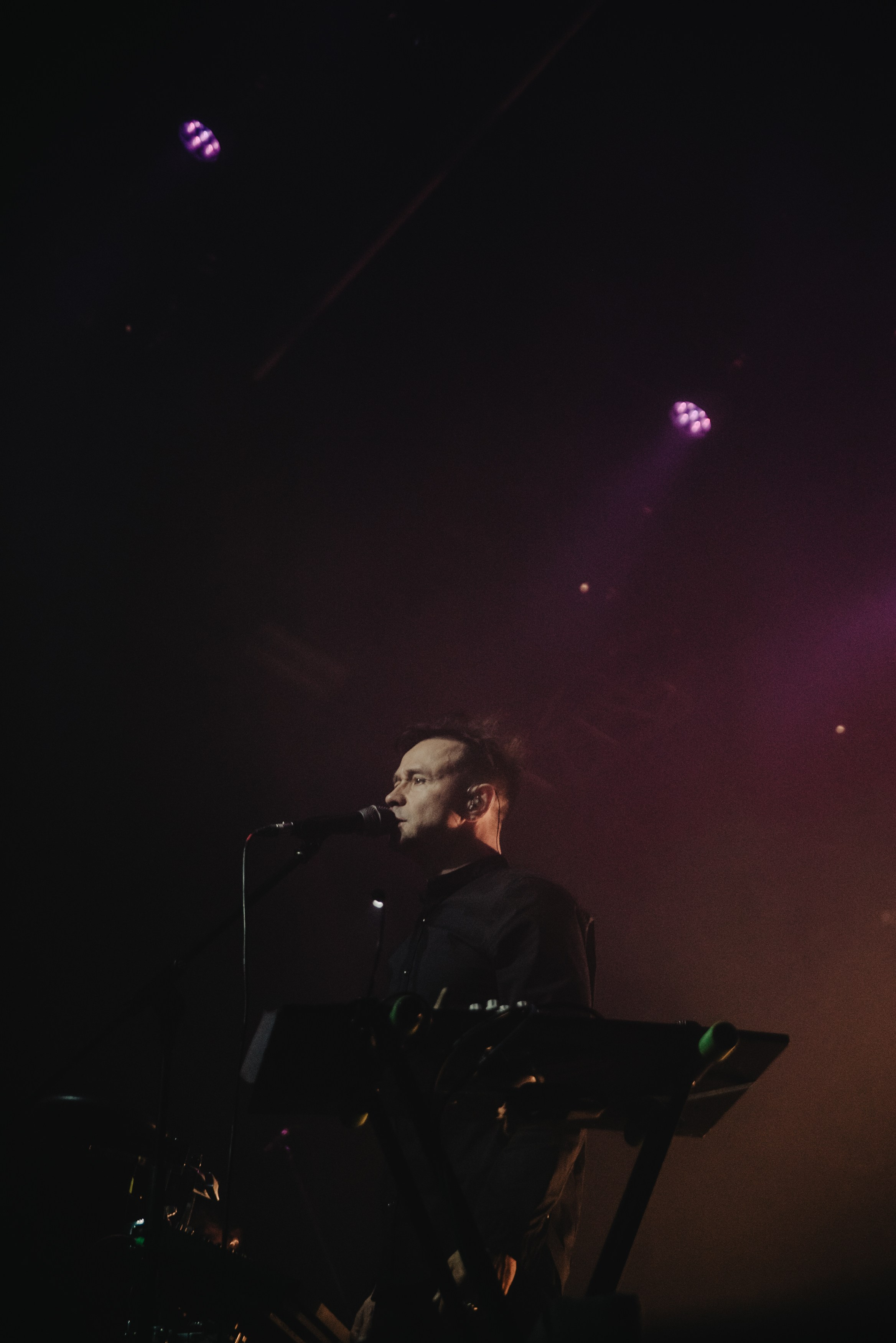 Дельфин | Gaudi. Контент фотограф Илья Урс