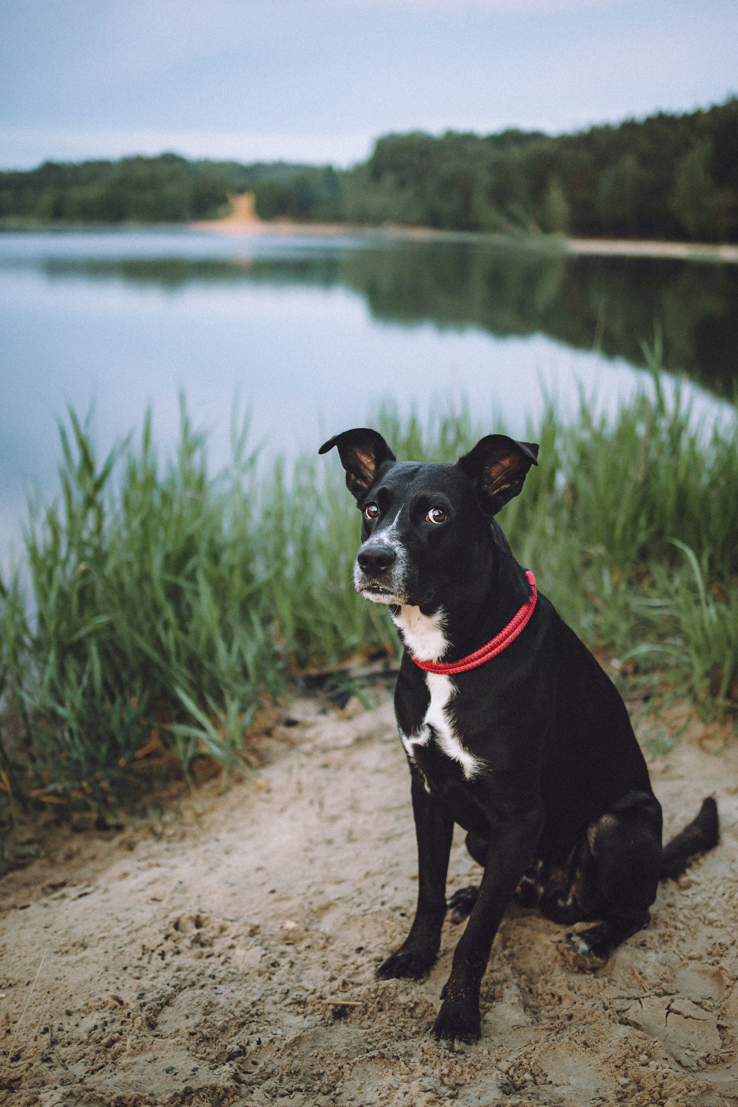 Роби, Тео и их семья