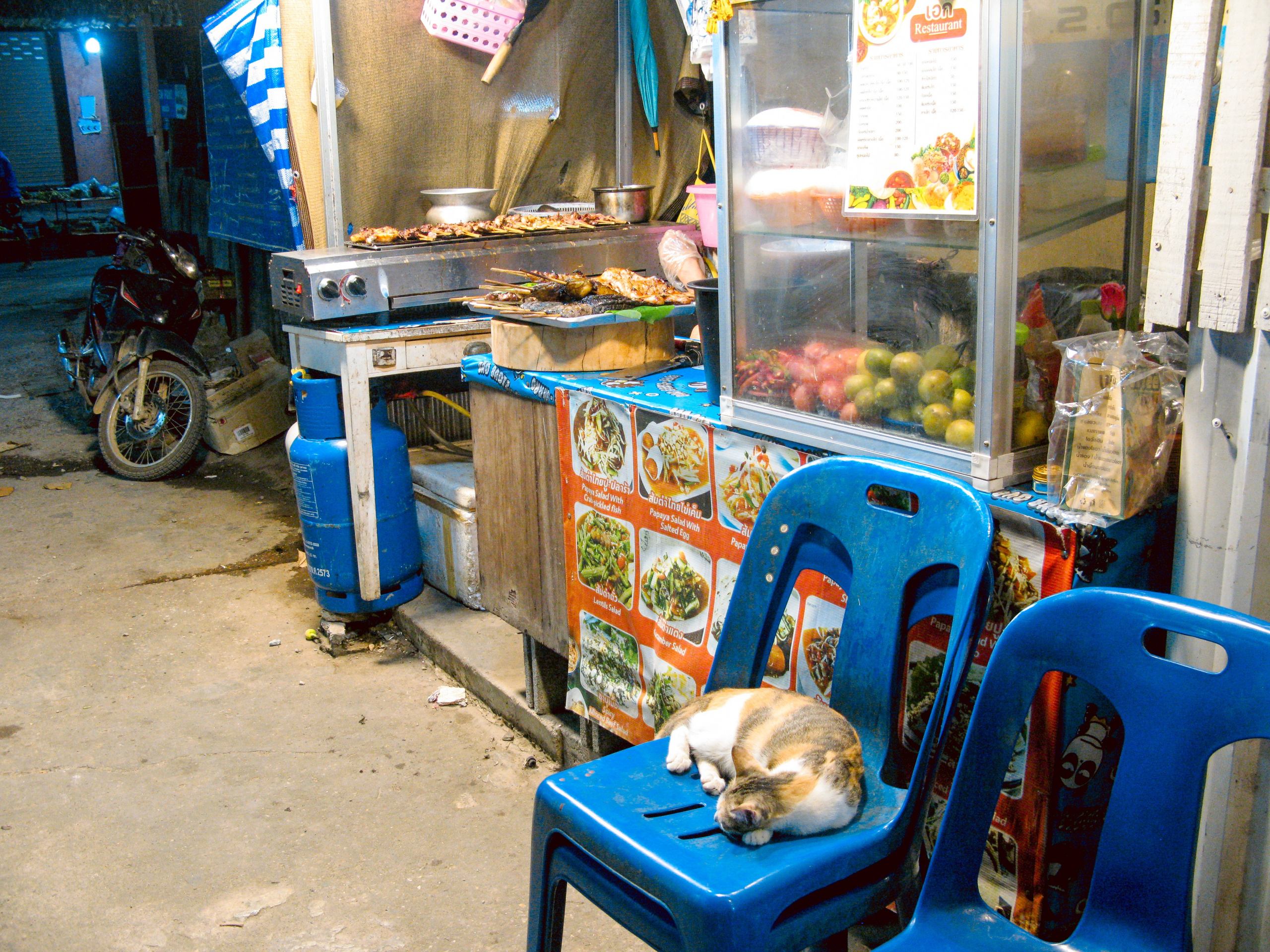 Thai. Фотограф Миланазавр