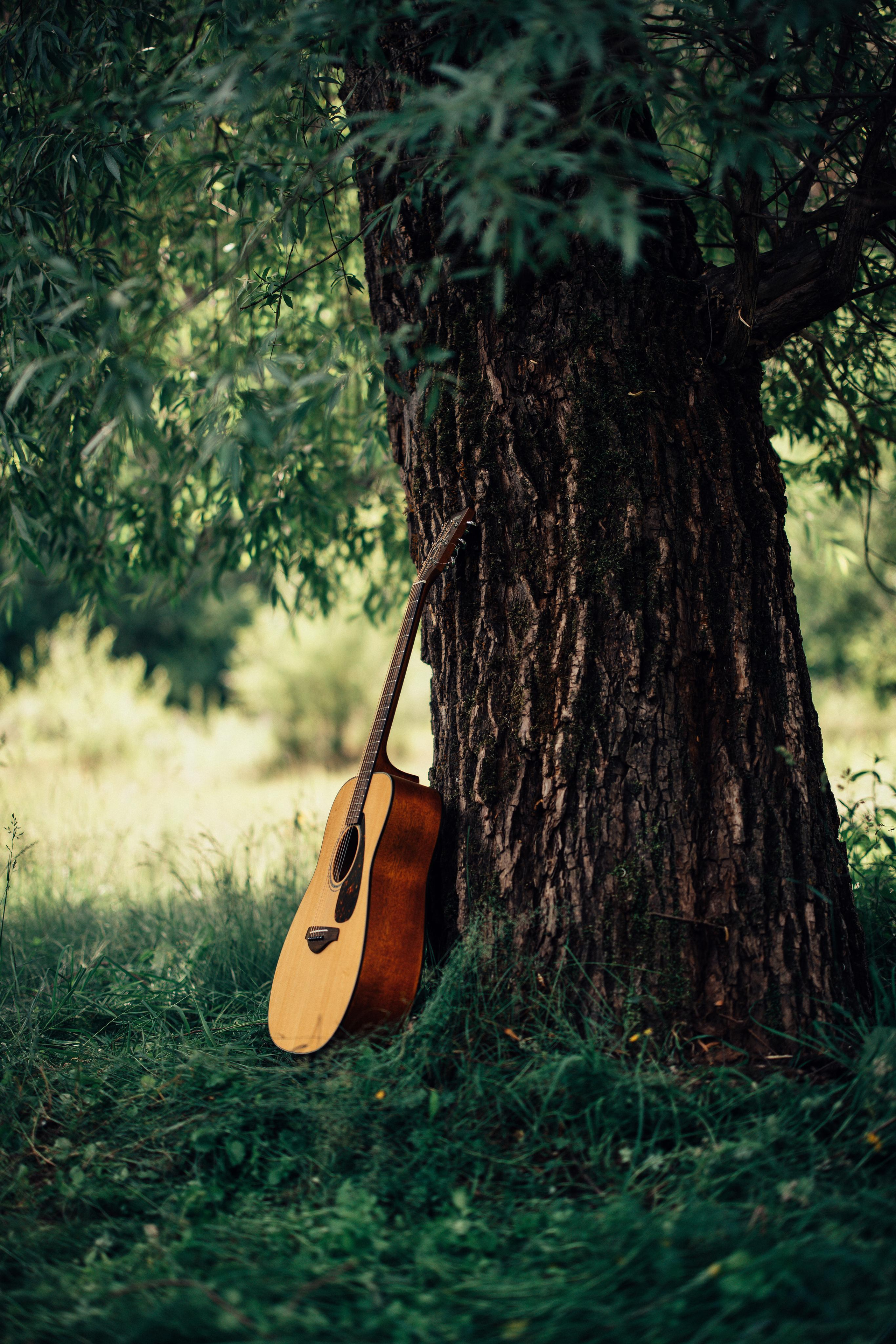 Под старой ивой. Портретный арт-фотограф в Екатеринбурге Алена Нестерова