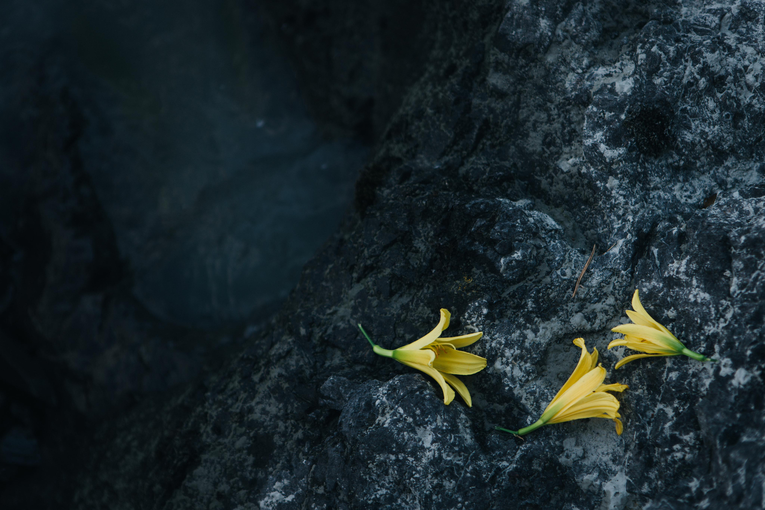 Бирюзовая Катунь. Портретный арт-фотограф в Екатеринбурге Алена Нестерова