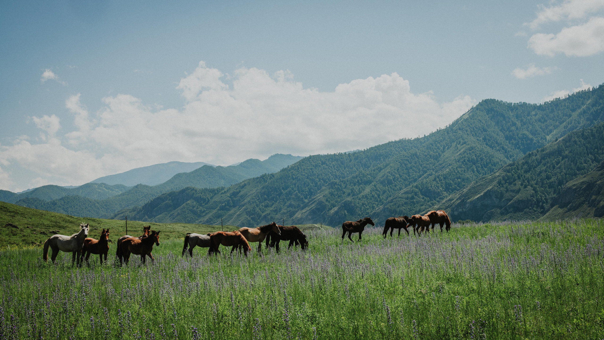Середина лета. Портретный арт-фотограф в Екатеринбурге Алена Нестерова