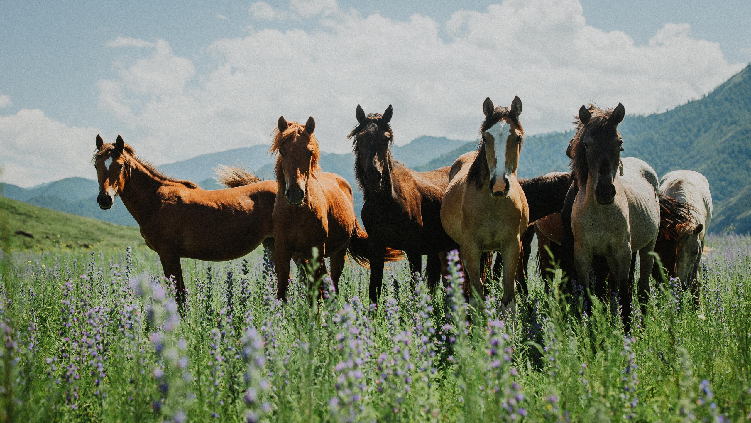 Середина лета. Портретный арт-фотограф в Екатеринбурге Алена Нестерова