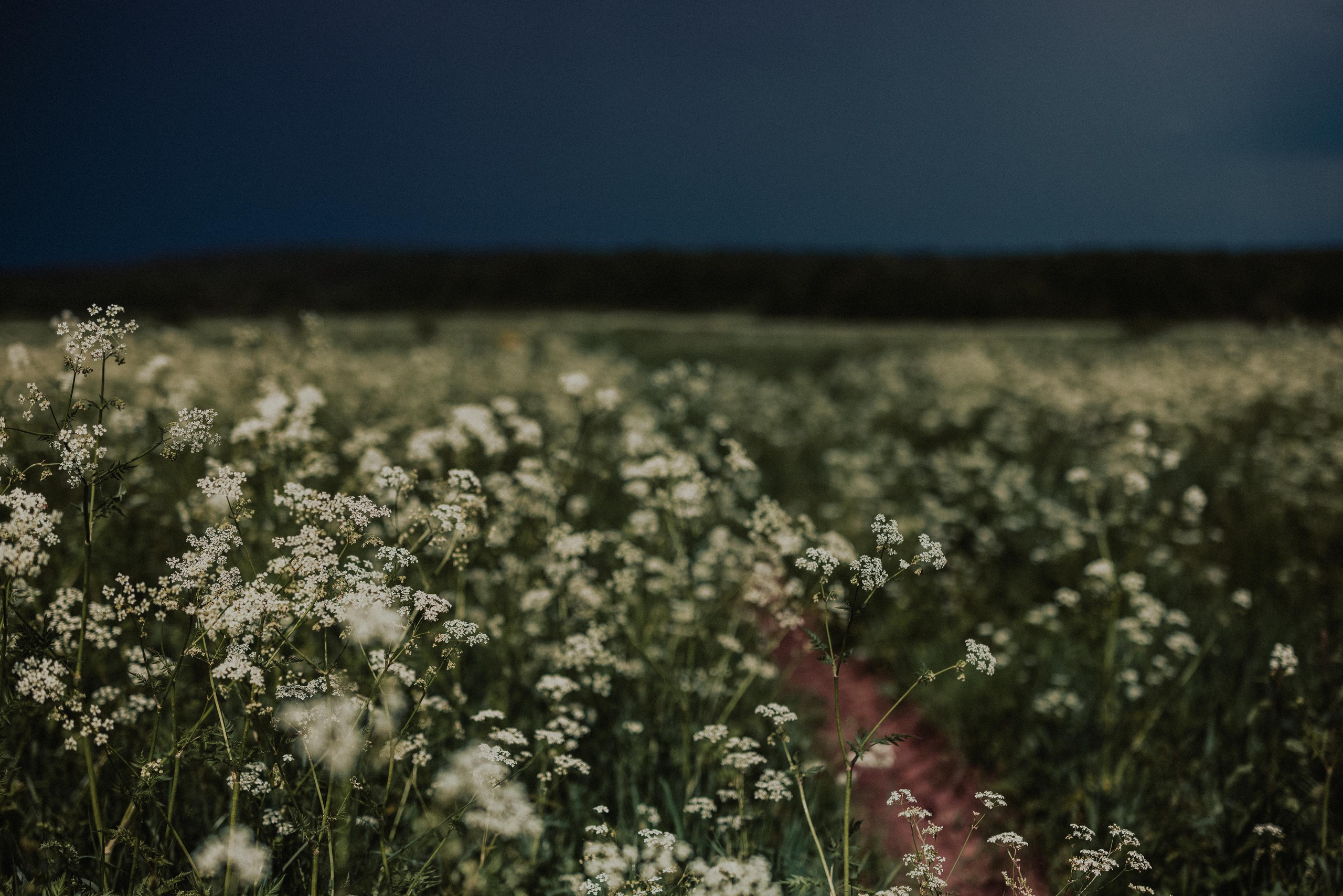 Ветер расплёл мои косы. Портретный арт-фотограф в Екатеринбурге Алена Нестерова