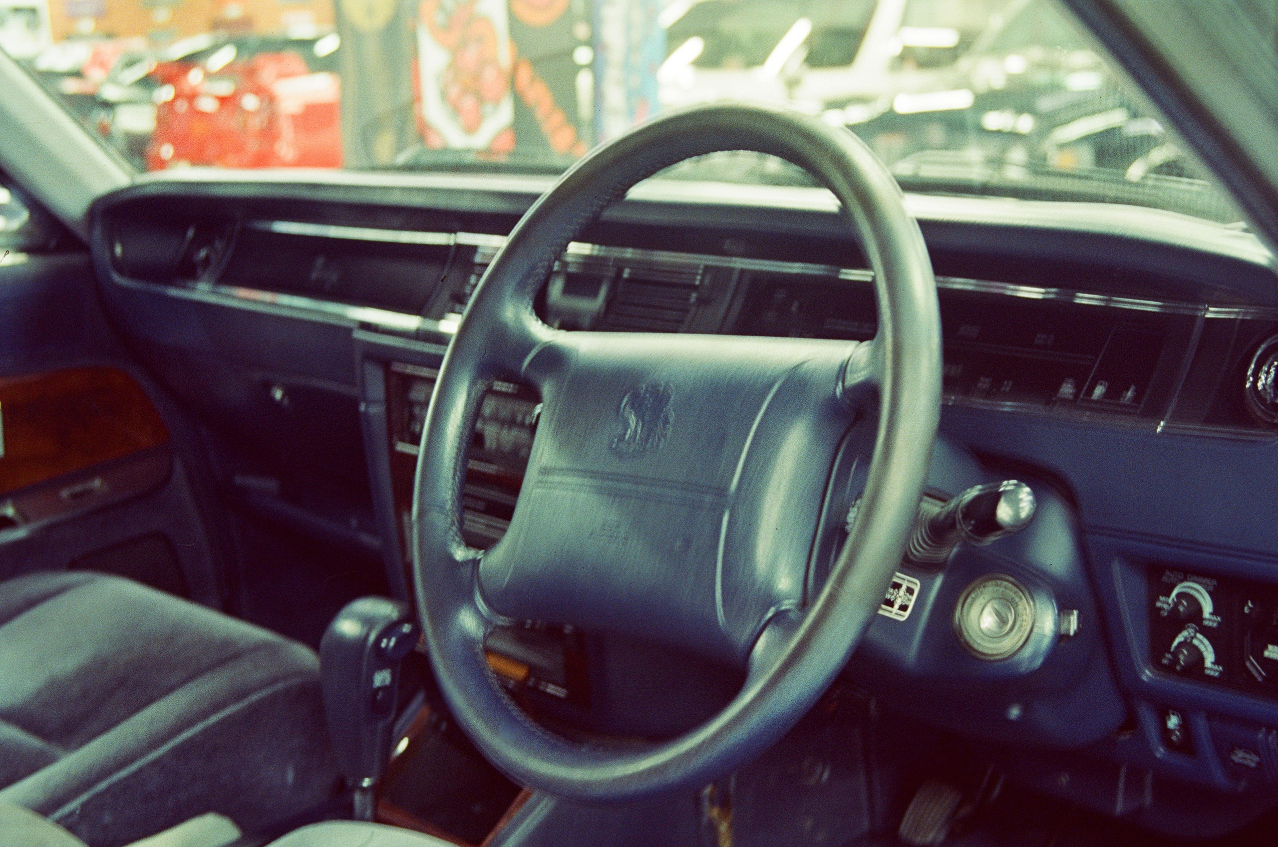 #05пленка. Kodak Vision 3 500T. Minolta Dynax 5. 28-80. Фотограф Наталья Вершинина