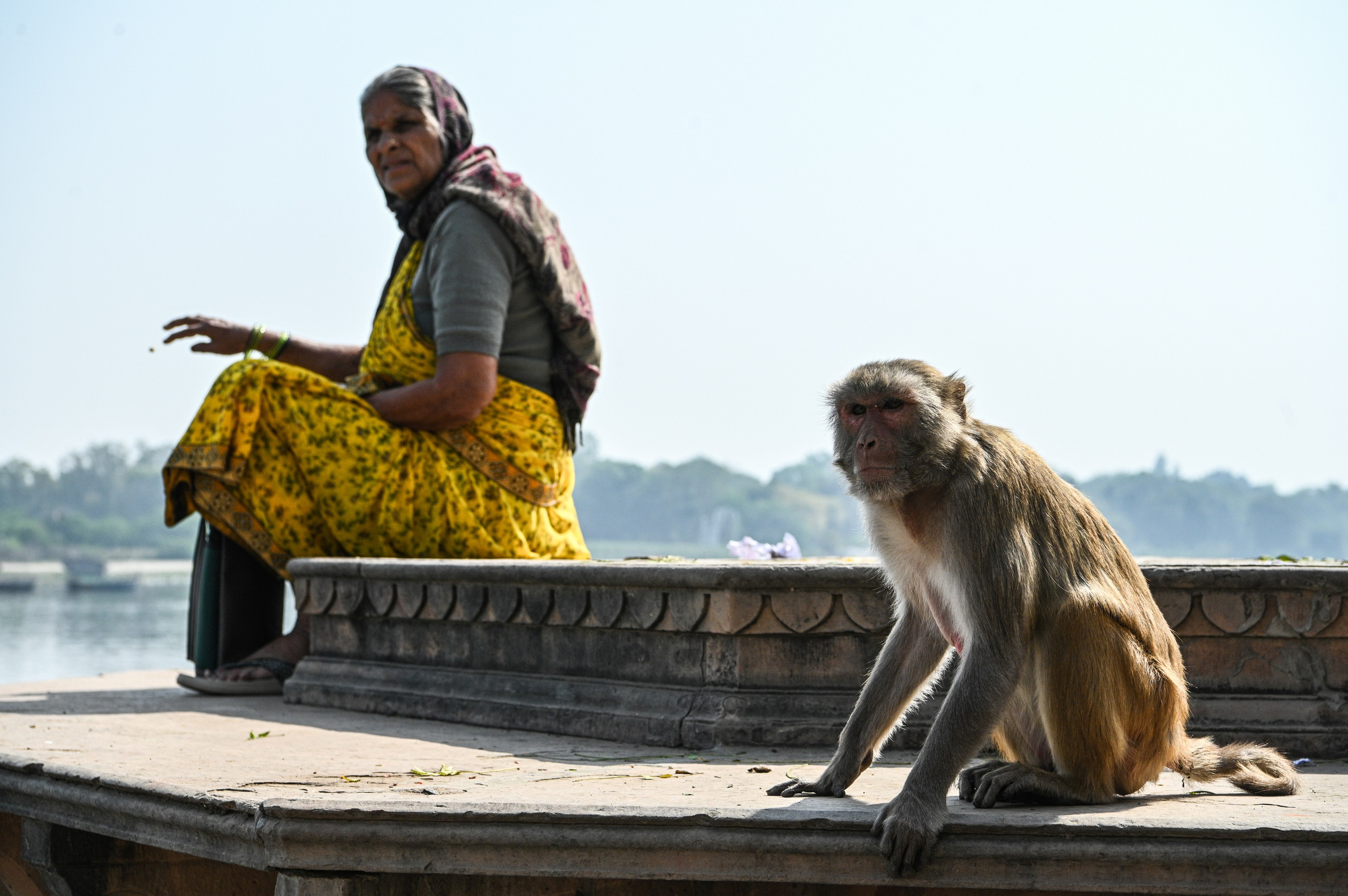 Невероятная Индия. Игорь Иванко — Репортажный и событийный фотограф. Москва