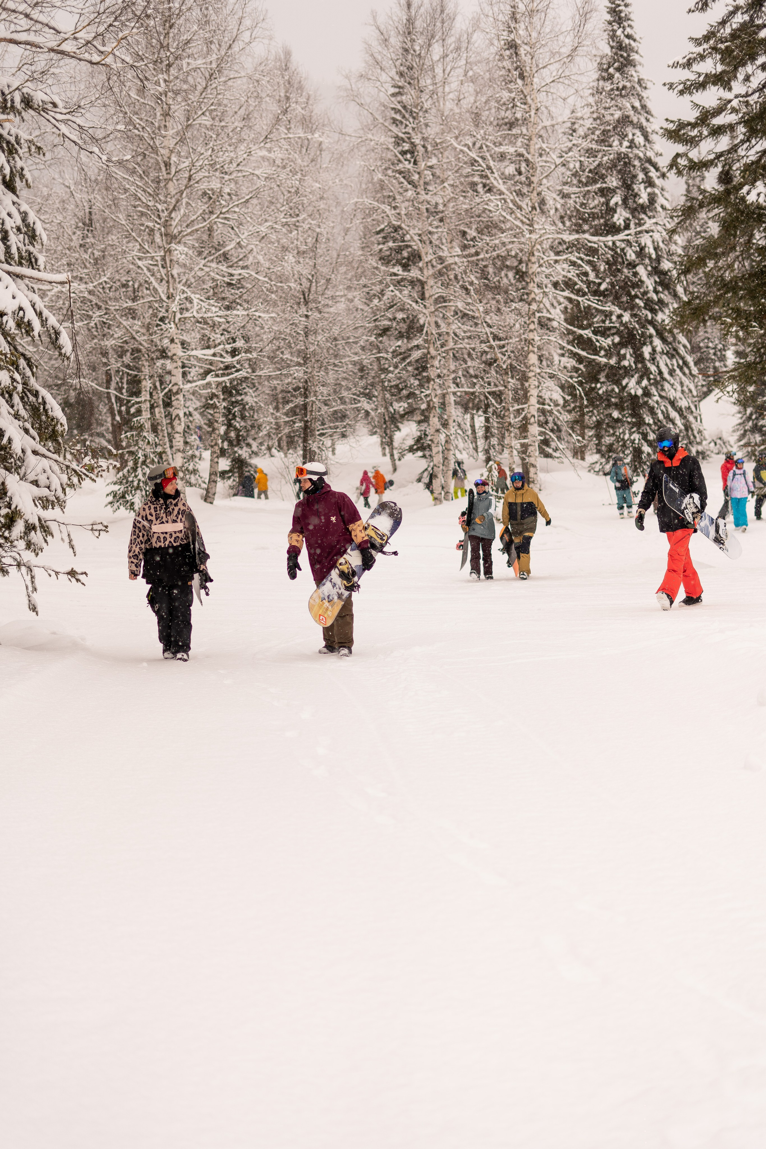 Джой 21.03.24. Анастасия Паршукова — фотограф Шерегеш Новосибирск