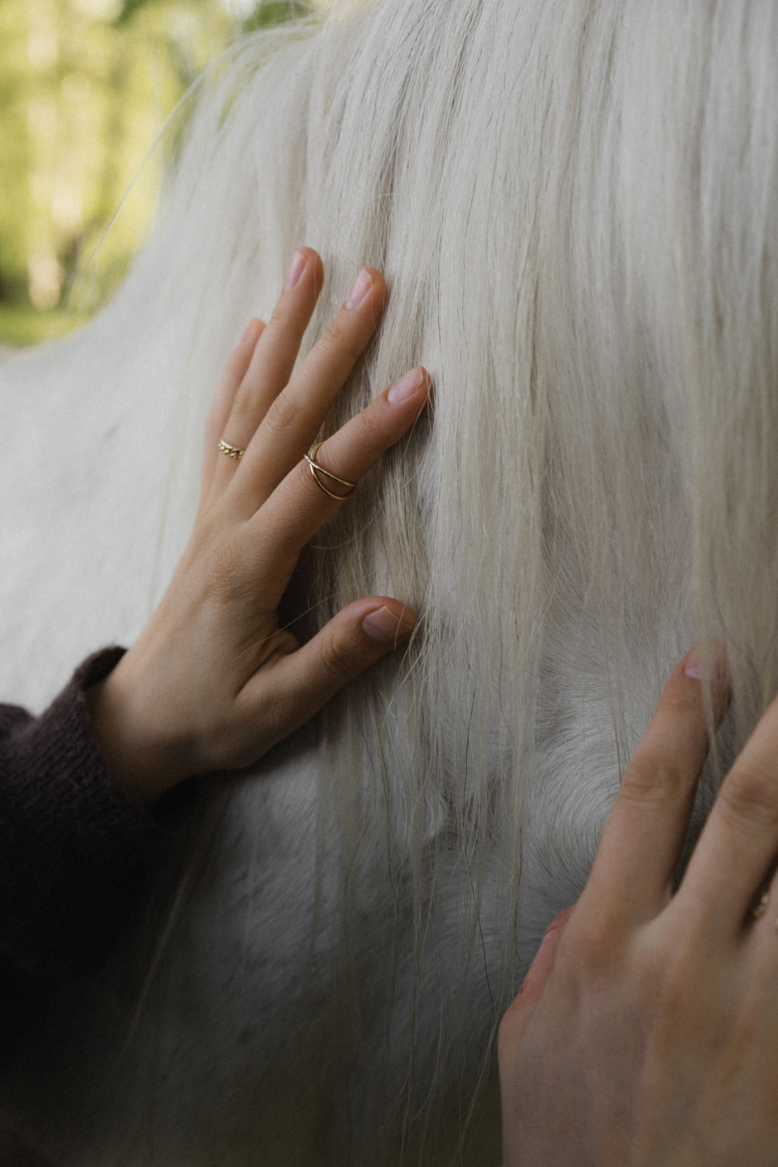 Оля + Максим. Моменты и истории о вас настоящих