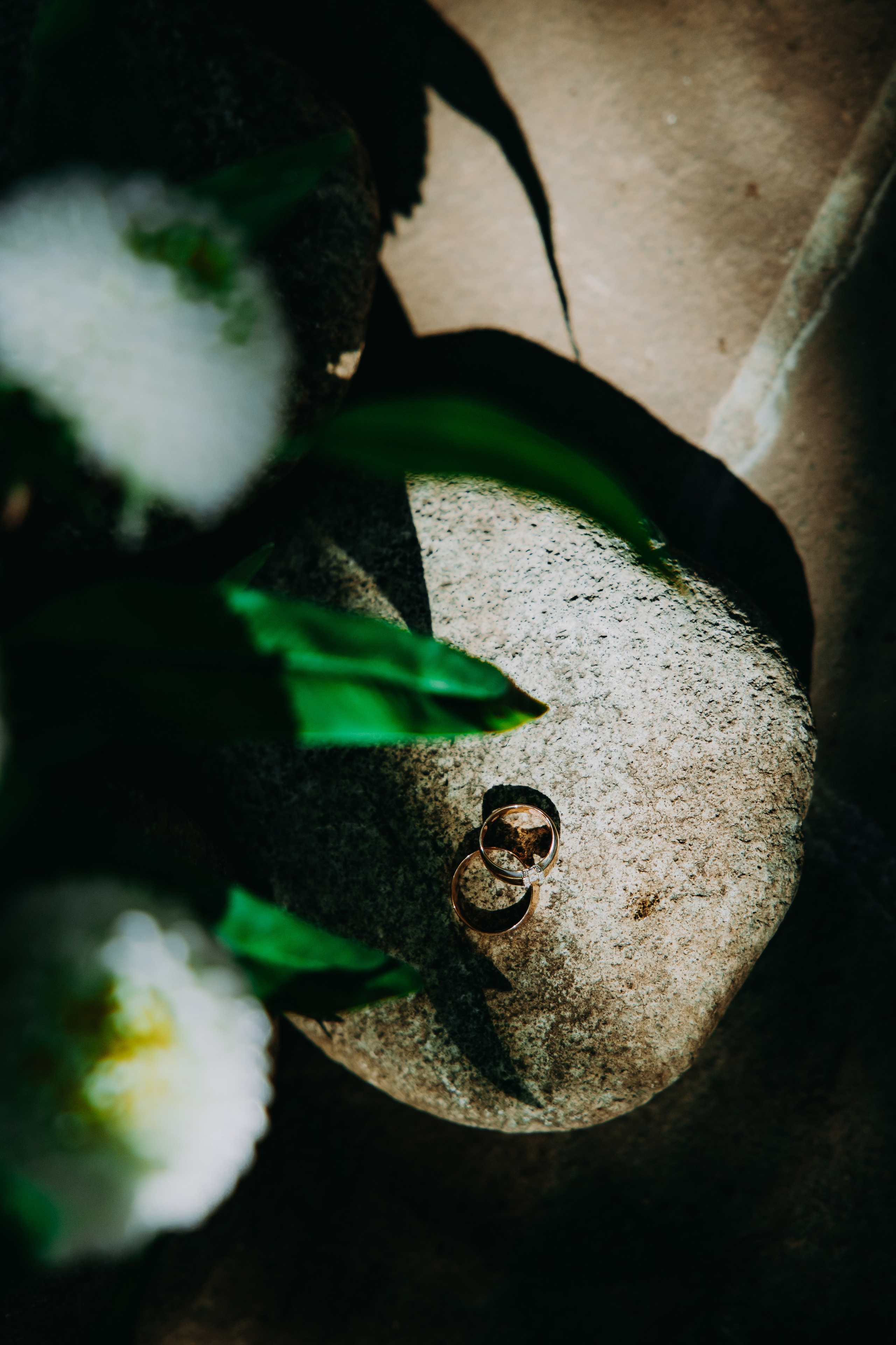 Данила и Татьяна. Фотограф в Саратове Александр Кухаренко. И не только в Саратове :)