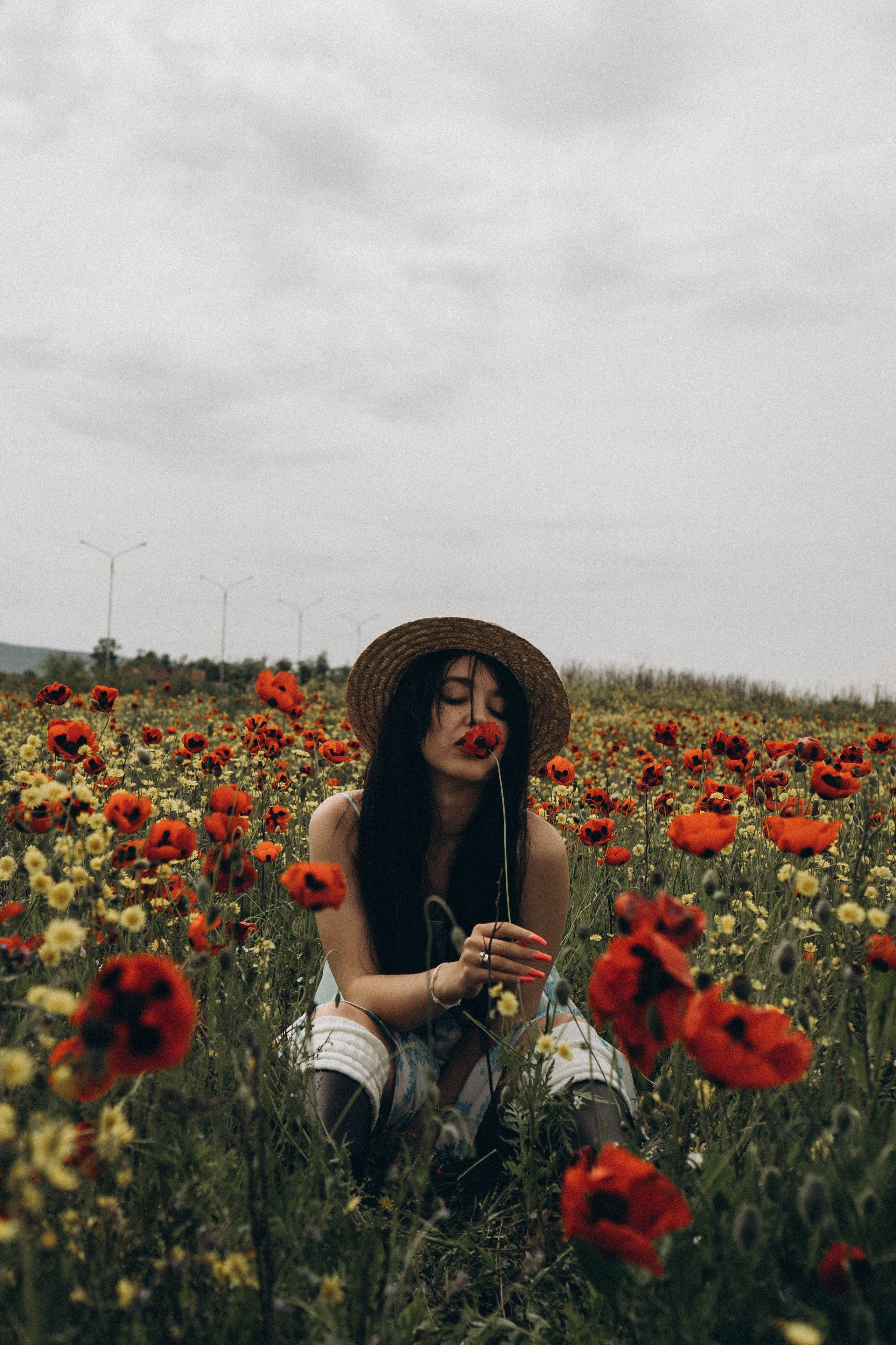 Цветочная поляна. Профессиональный фотограф, Санкт-Петербург — Виктория Богомолова