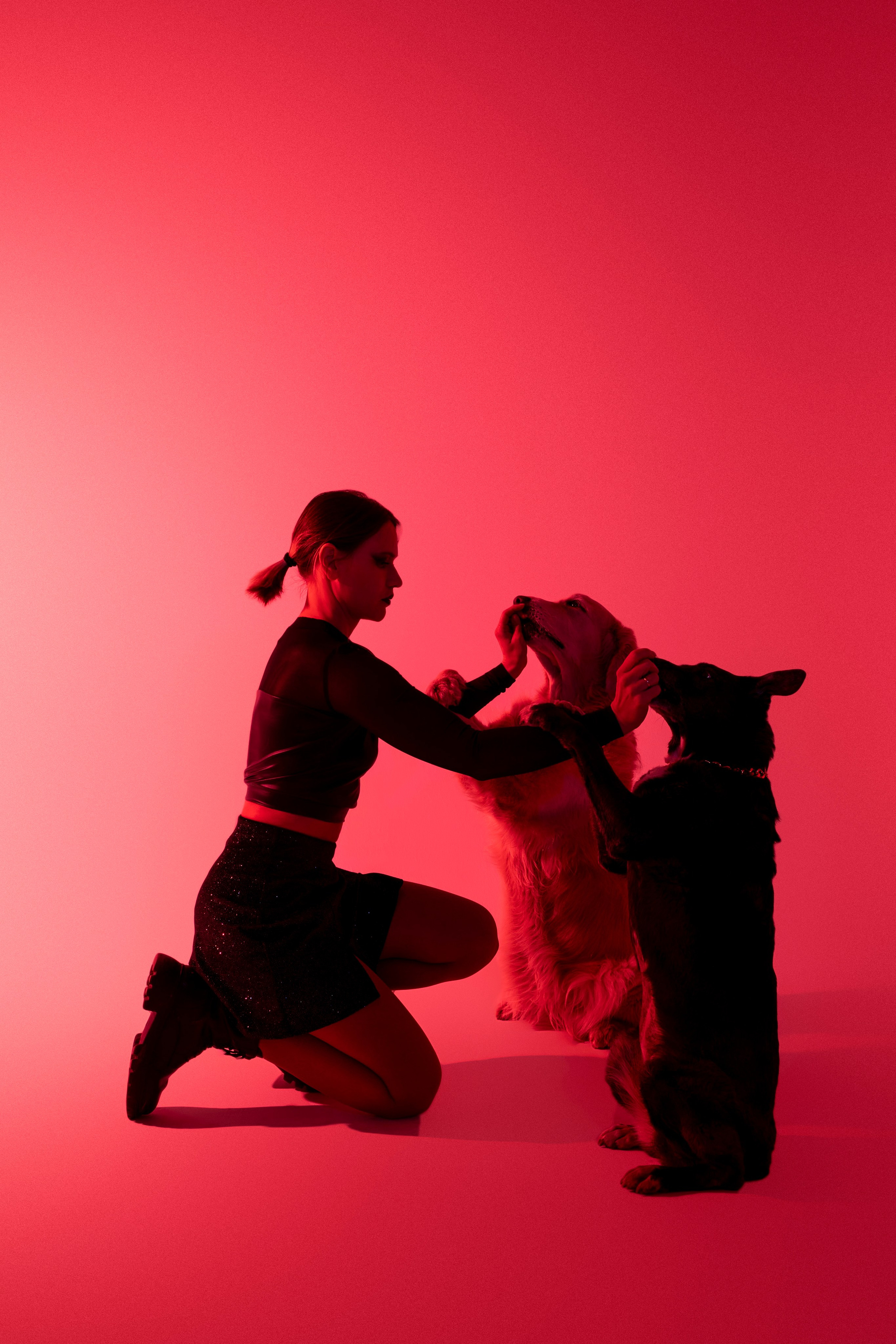 Съемка в студии с собакой. Анастасия Белаш