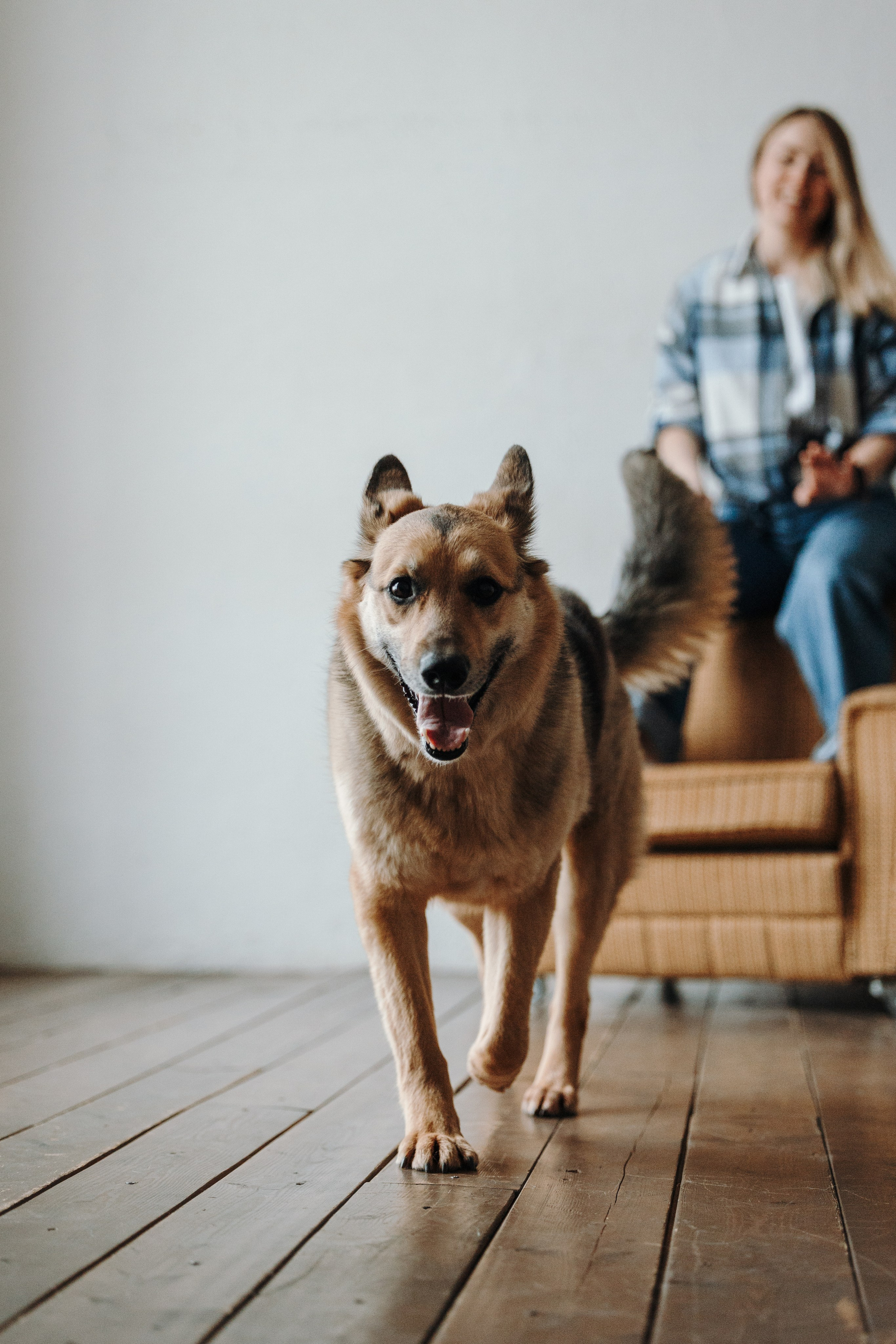 Лена и Дёма. Фотограф — Анималист | Санкт-Петербург