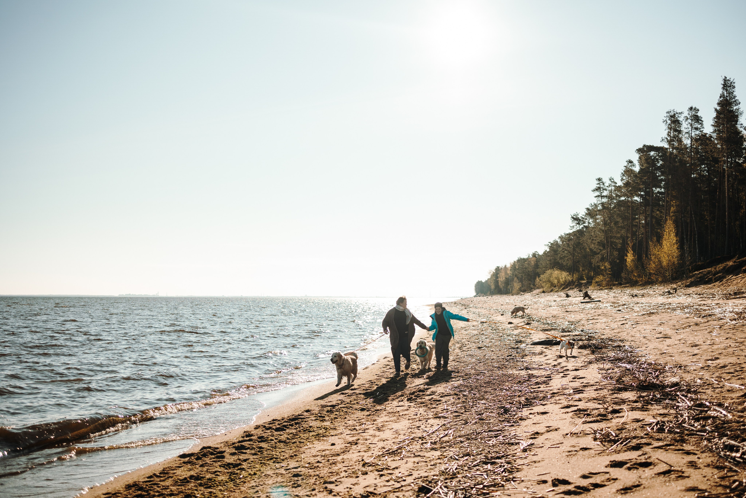 Катя и ее девочки. Фотограф — Анималист | Санкт-Петербург