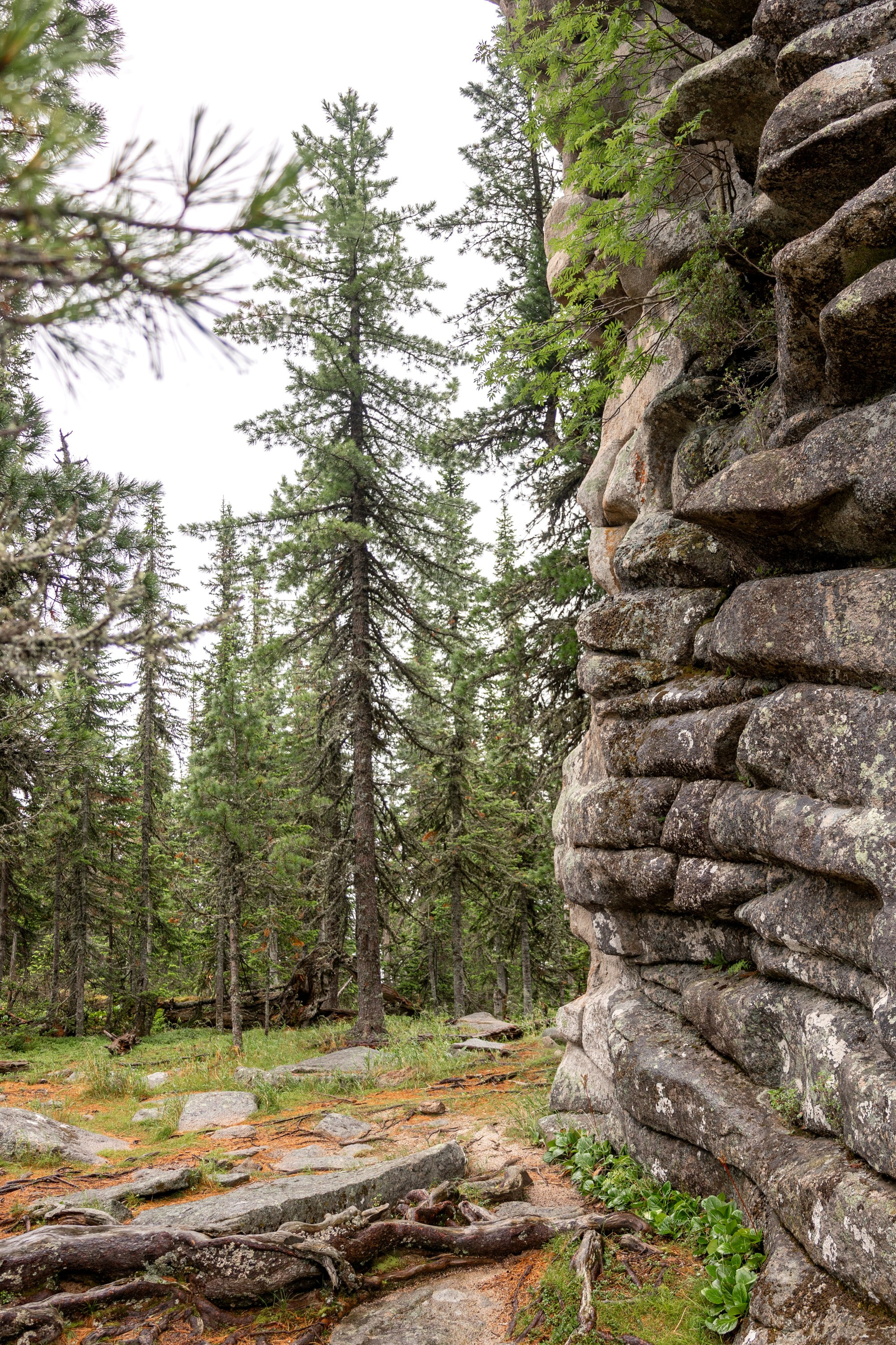 Ергаки. Семейный и детский фотограф в Красноярске, Дивногорцева Светлана
