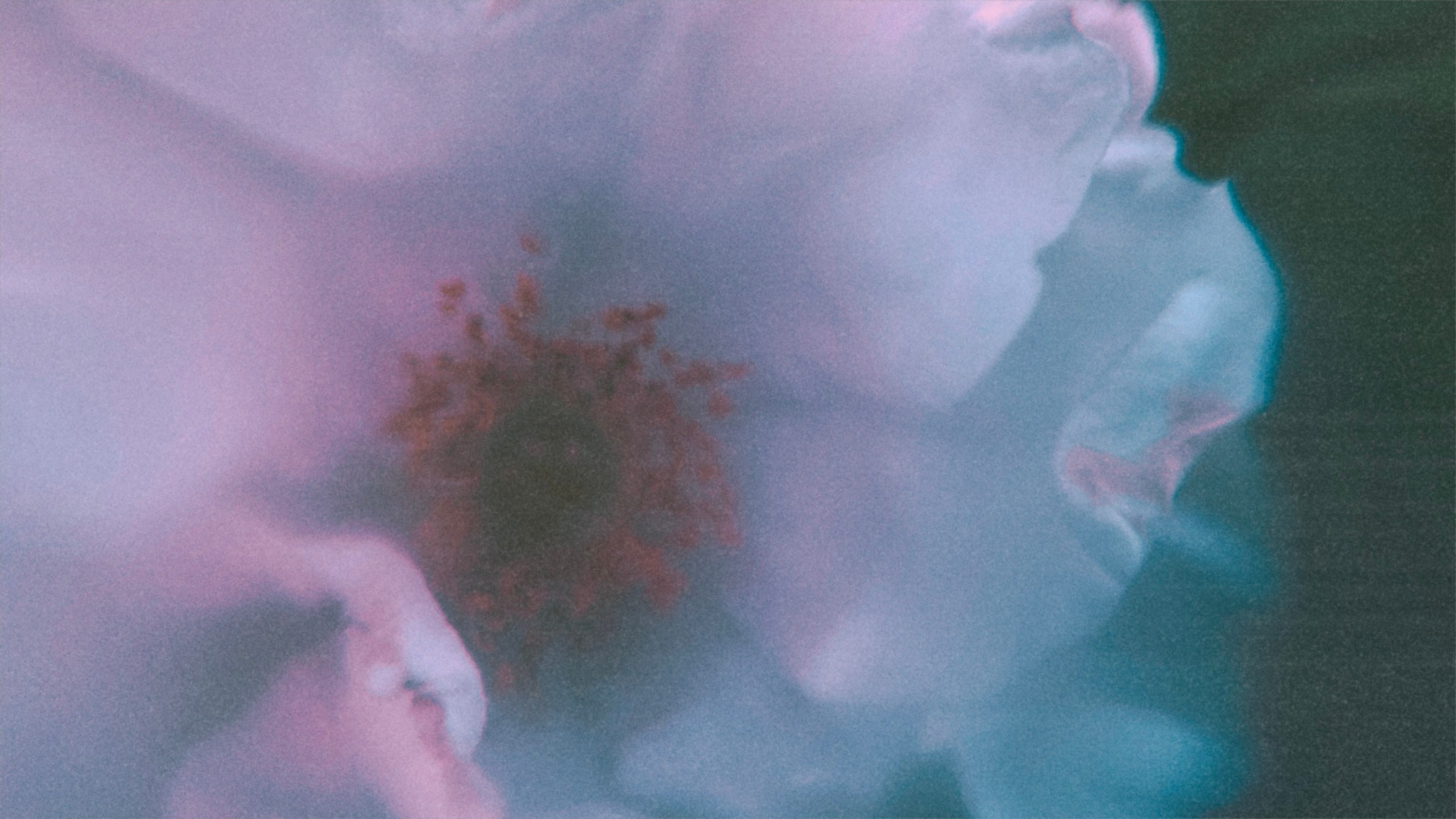 Фотографии. Visual artist