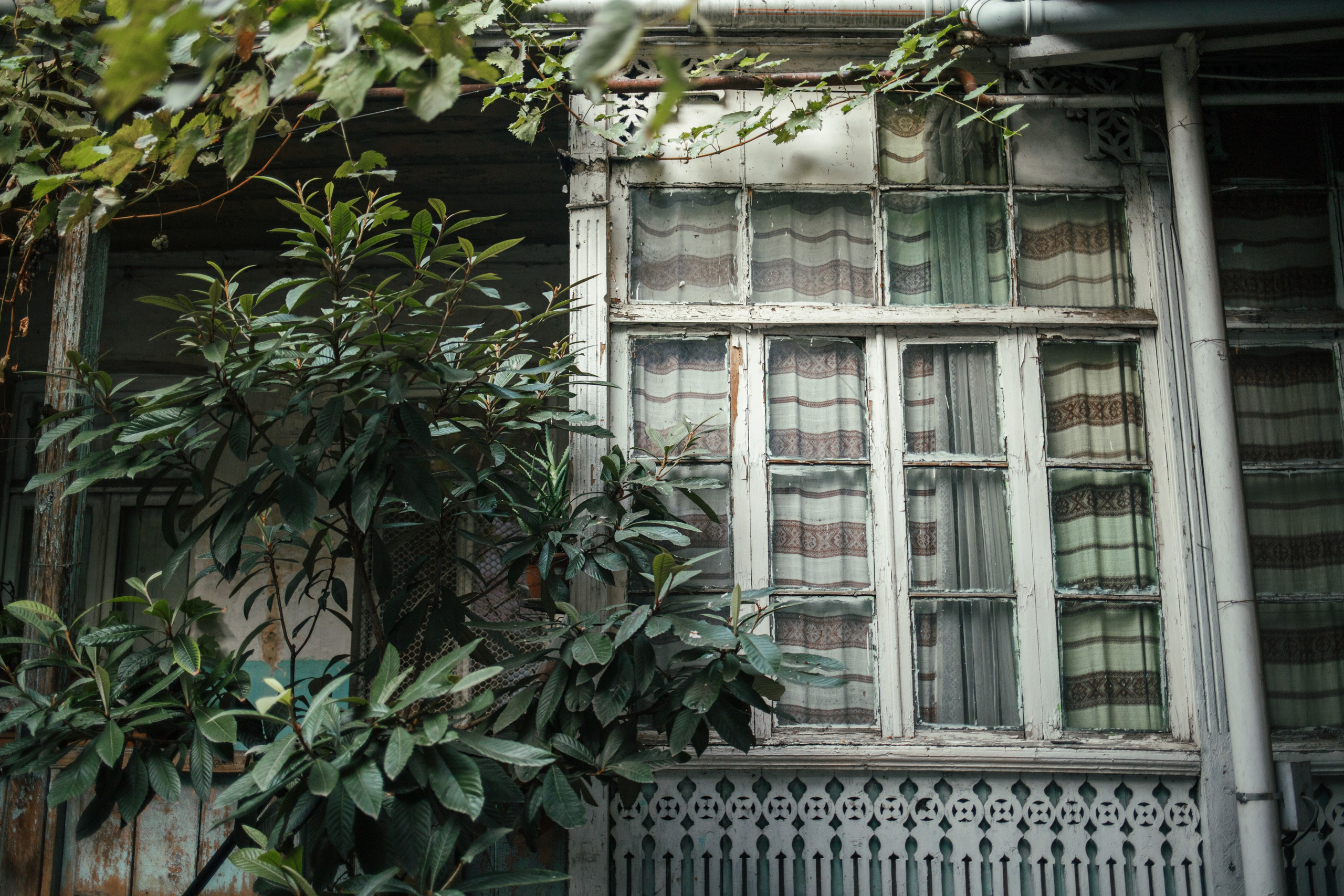 Tbilisi, Georgia. Photographer Alina Skitovich