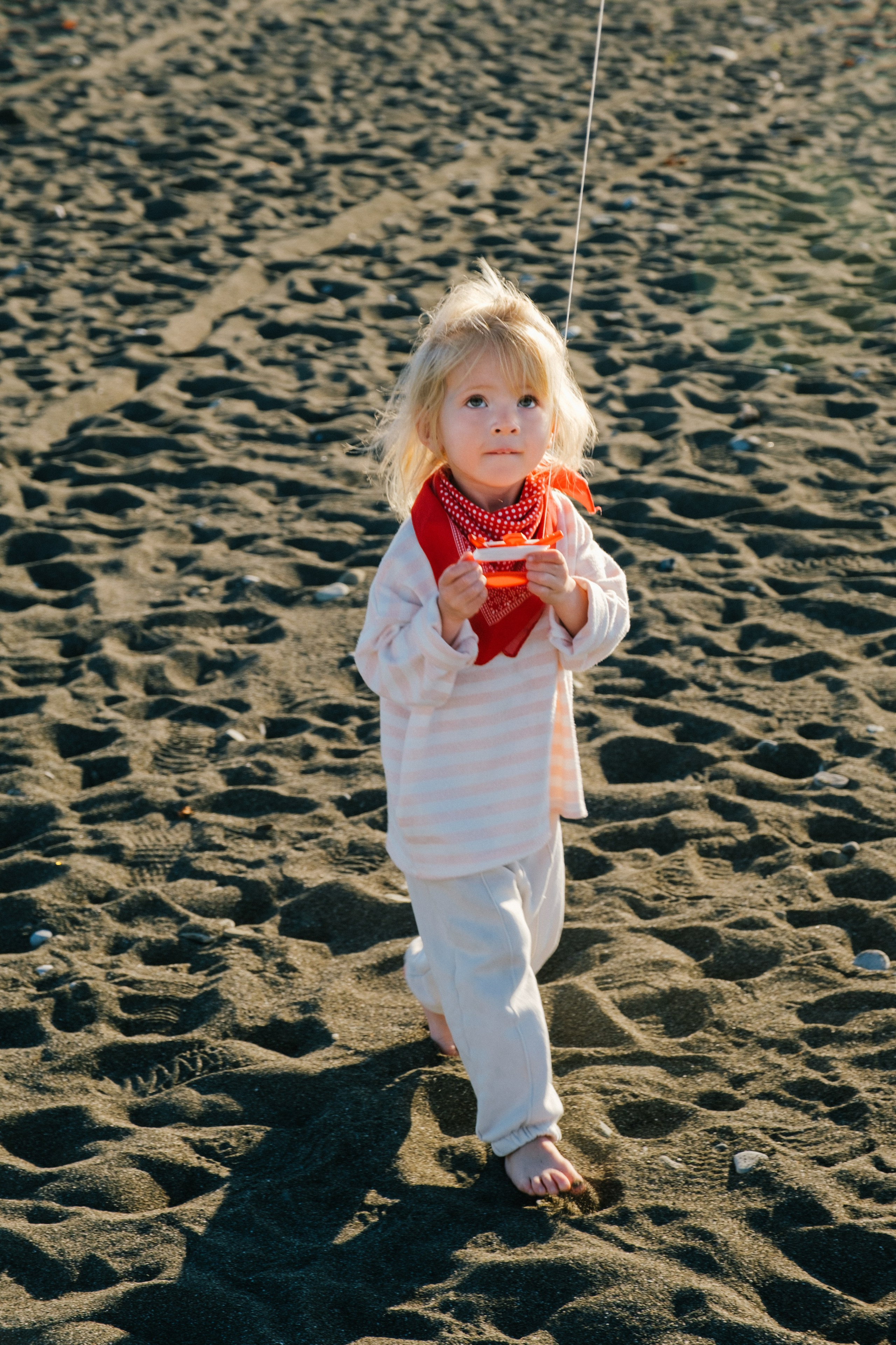 Воздушный змей. Свадебный Видеограф Фотограф в Сочи