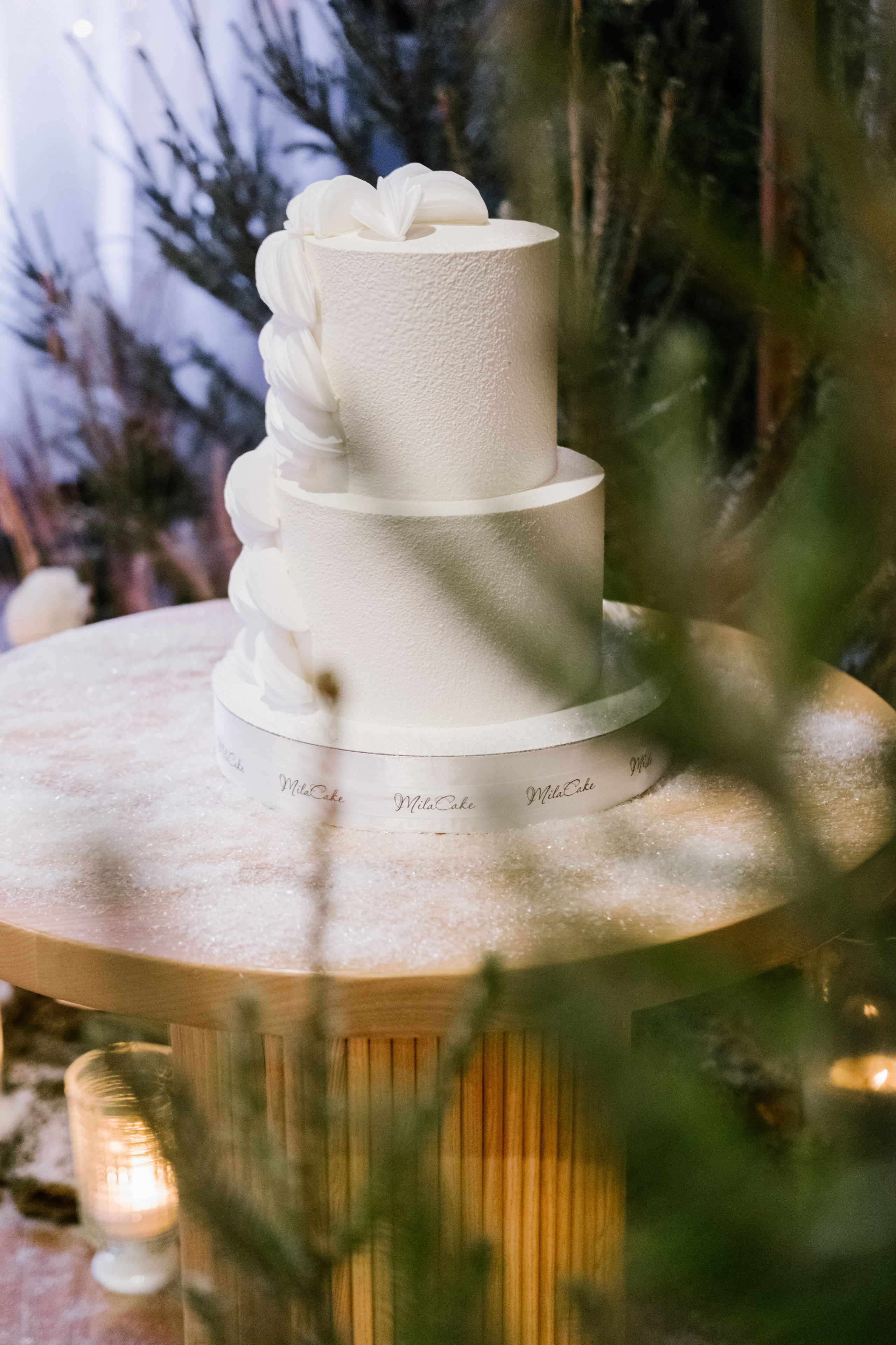 Алёна / Дмитрий. Свадебный Видеограф Фотограф в Сочи