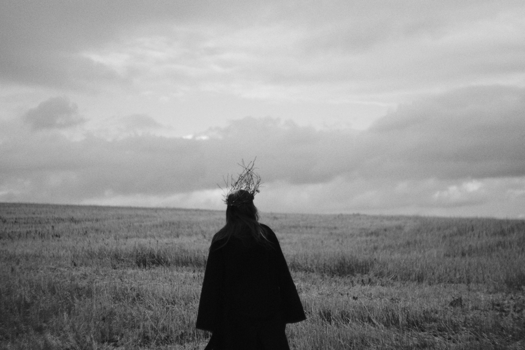 Roaming / Fields. Фотография Alexander Palkin