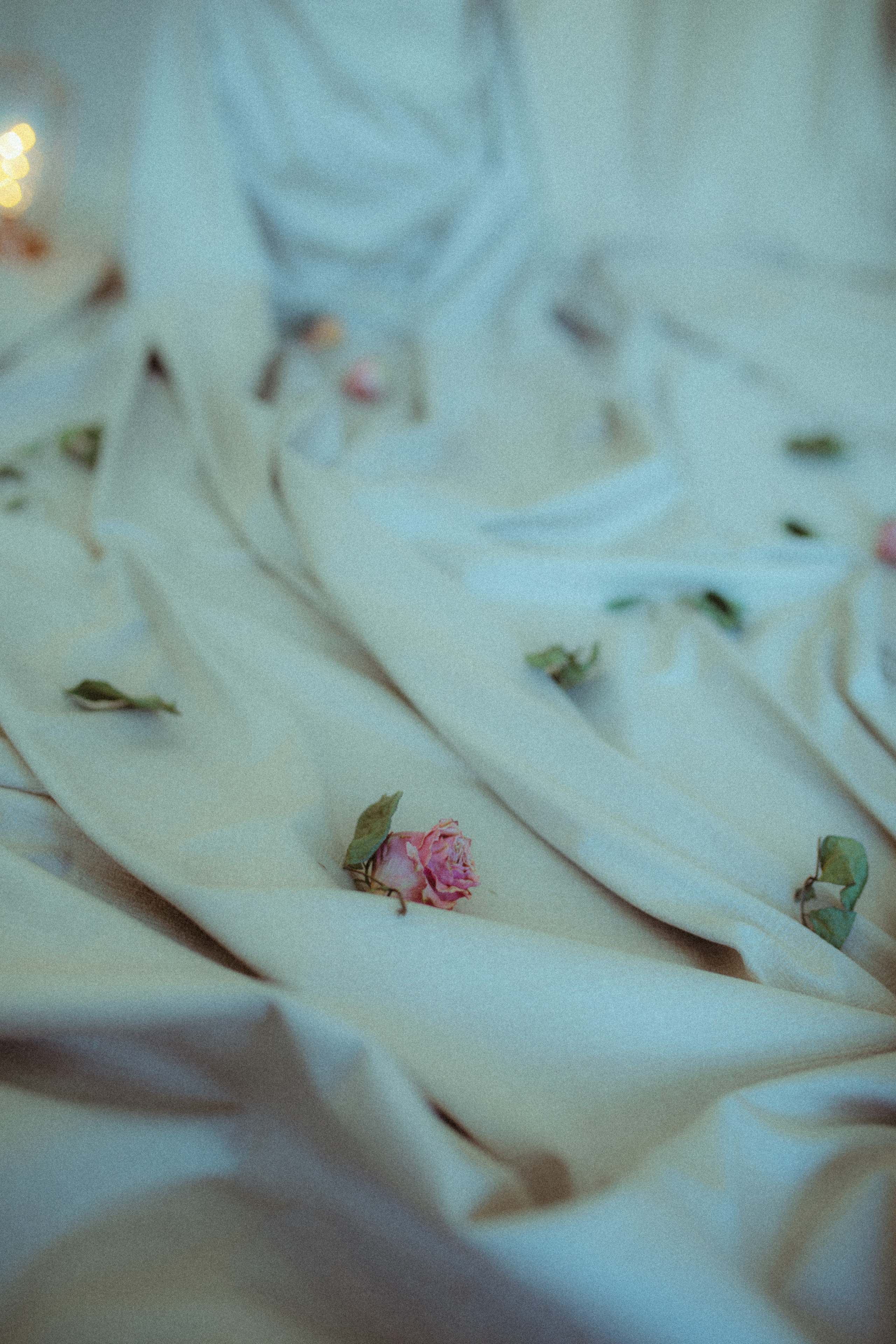 Amiliya. Фотограф города Уральск Ольга Василец