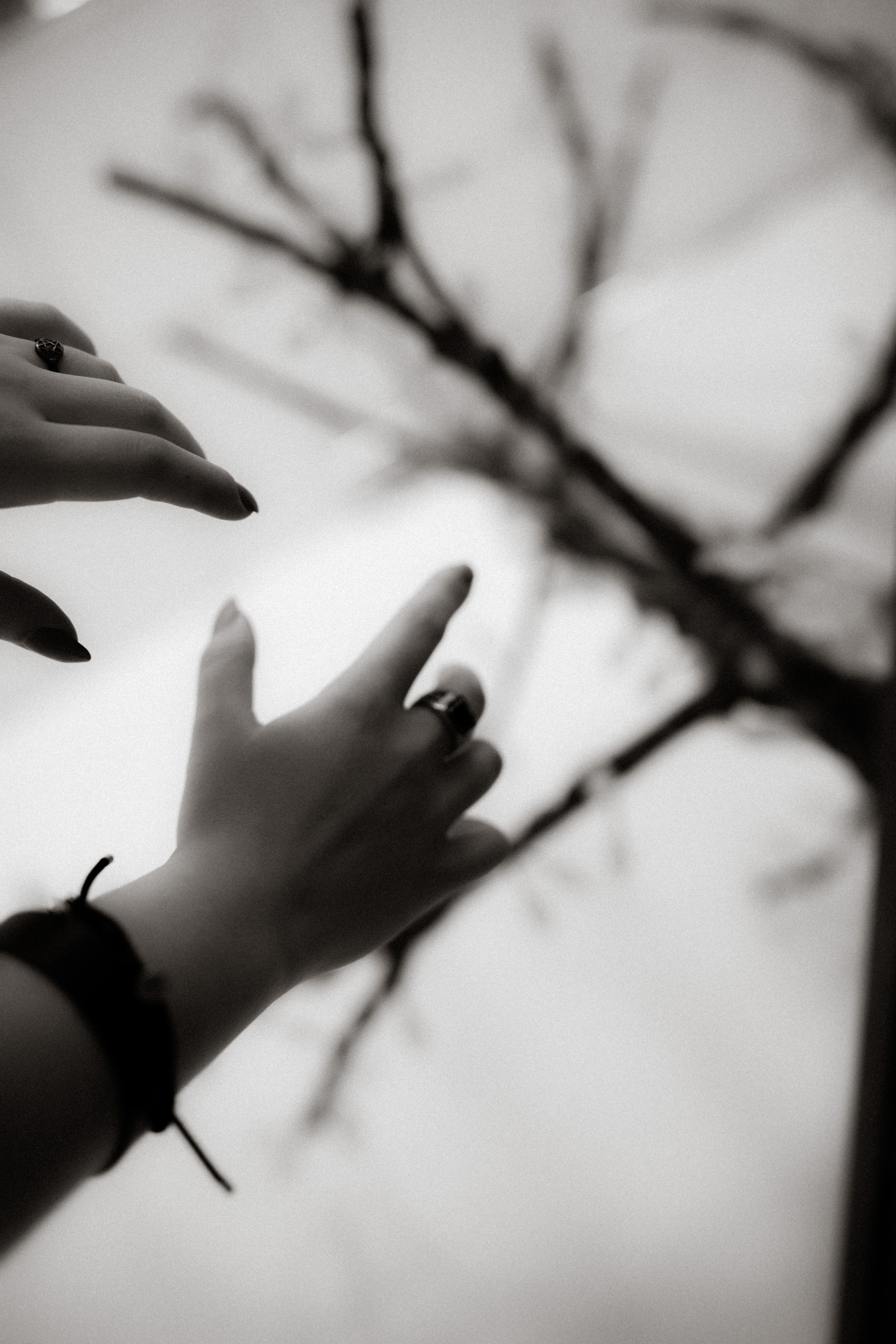 Amiliya. Фотограф города Уральск Ольга Василец