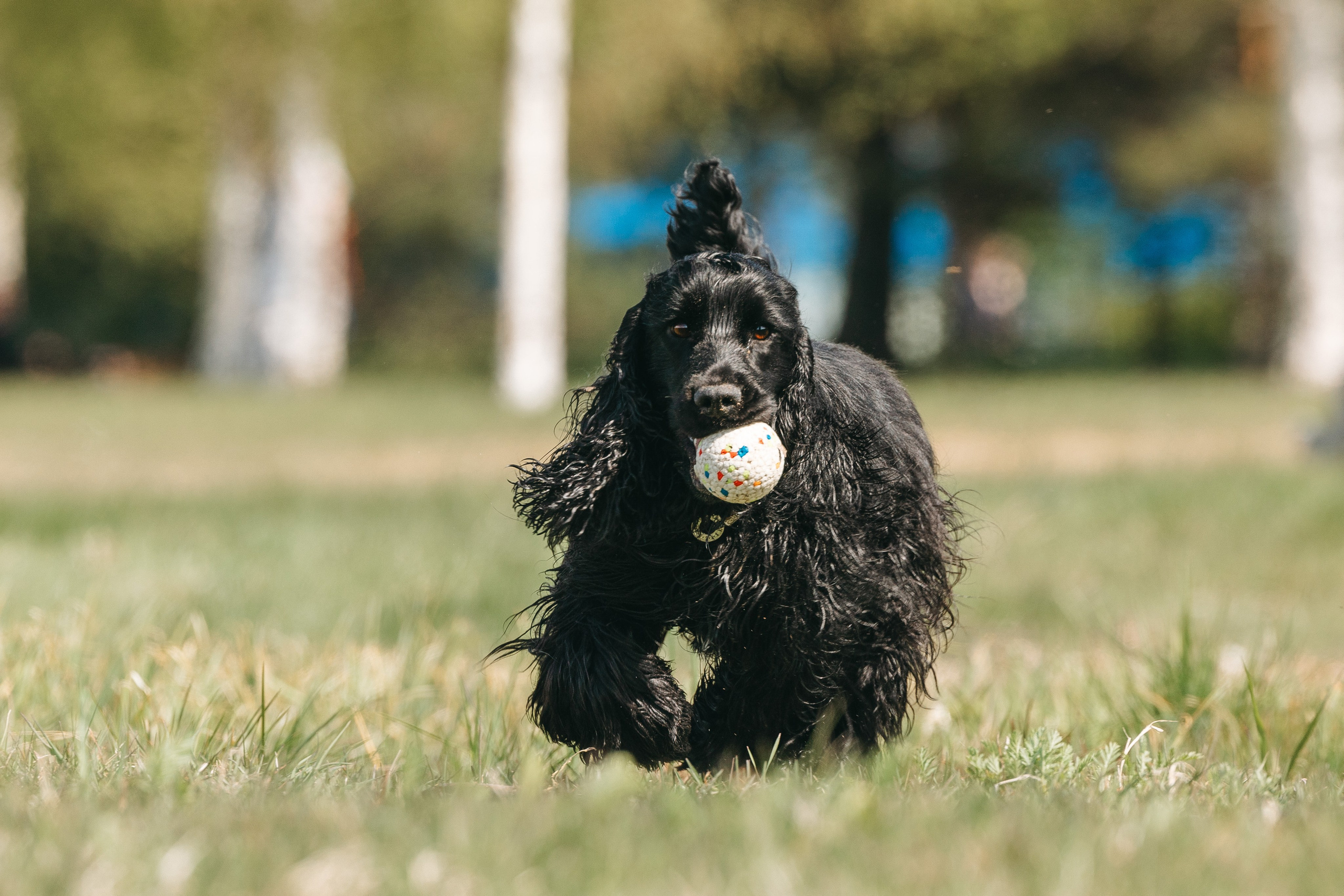 Спанимания. Фотограф анималист Осипчикова Мария