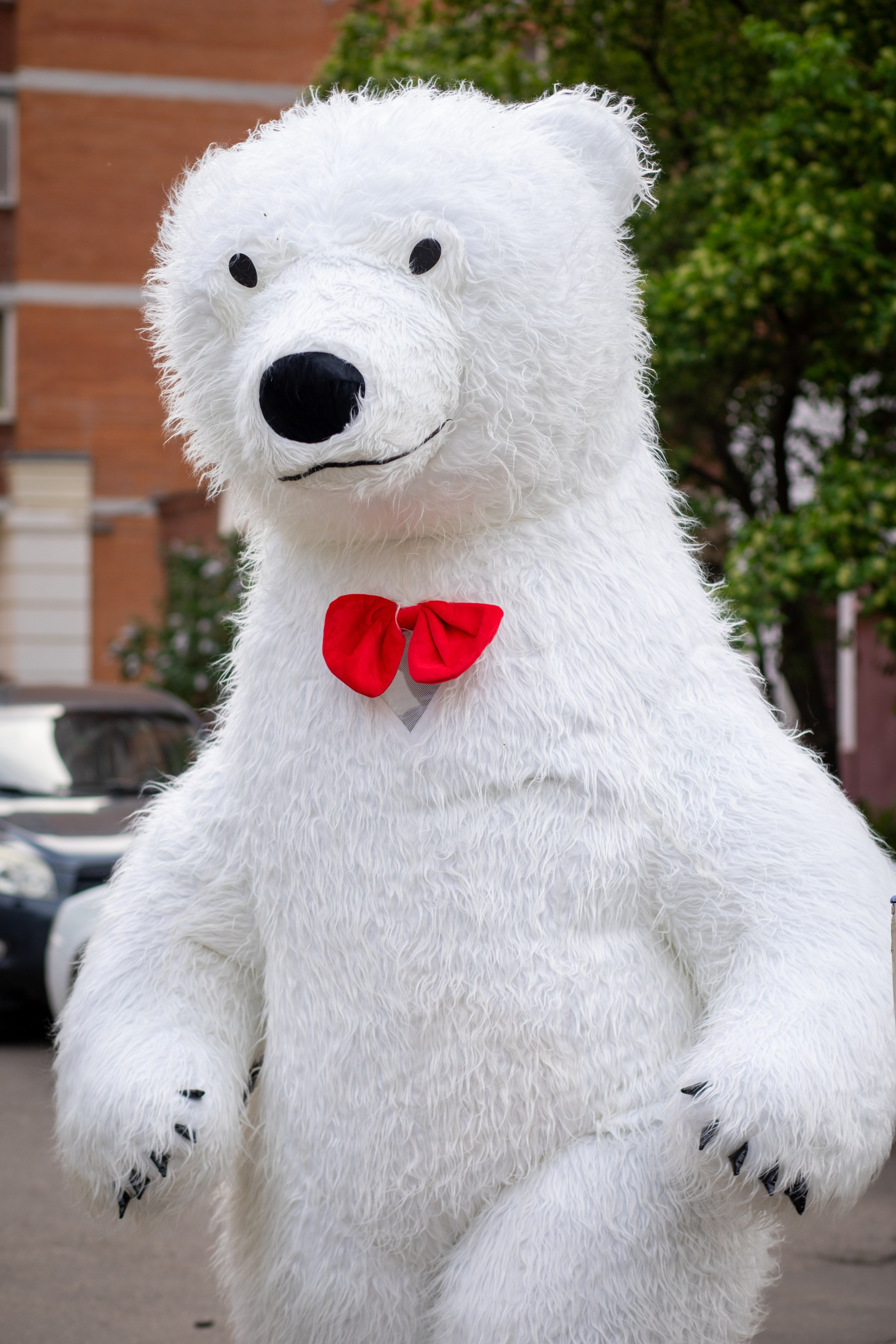 Дни Рождения, праздники, мероприятия, репортажи. Фотограф в Москве