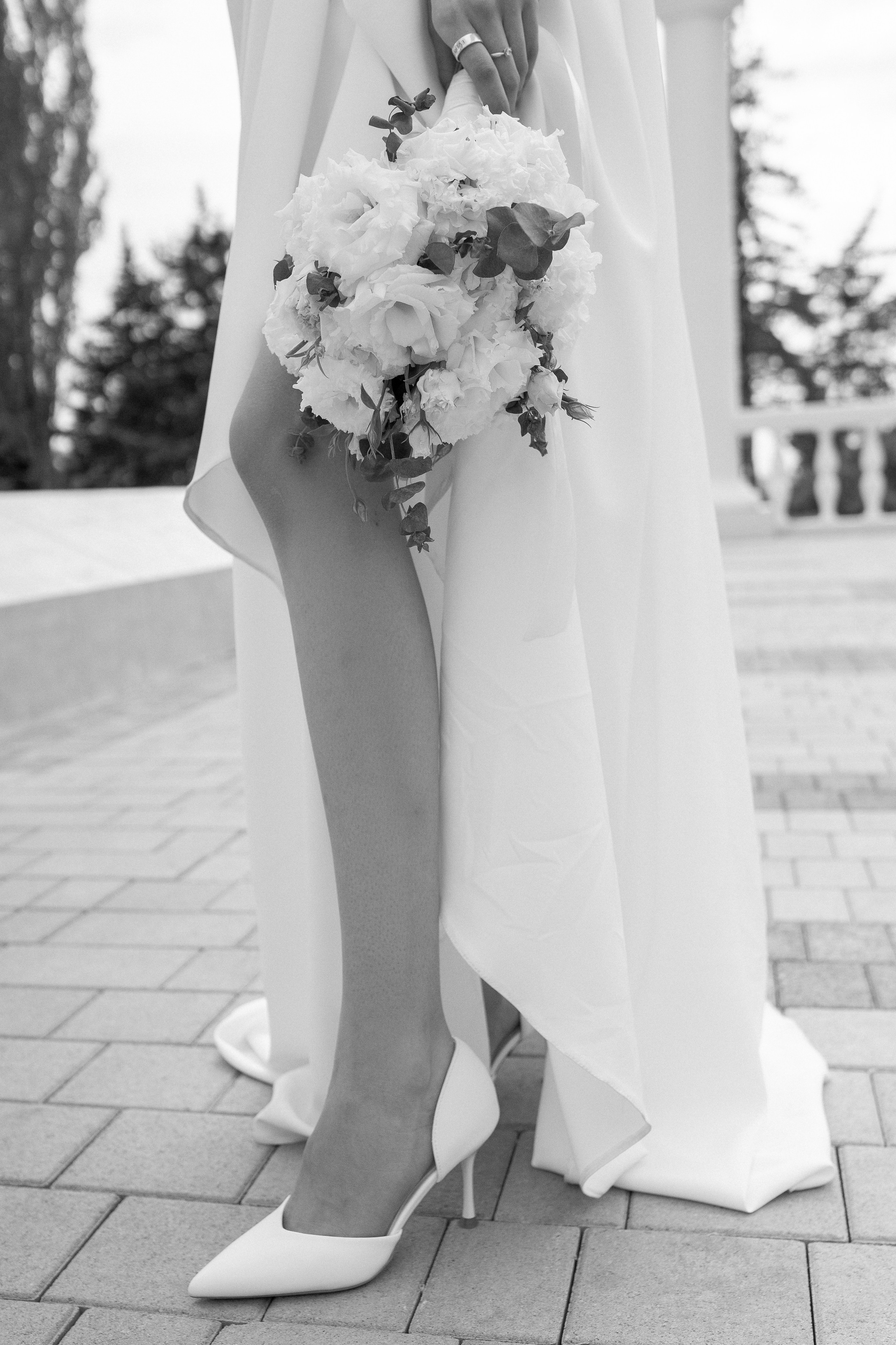 Евгений и София. Главная