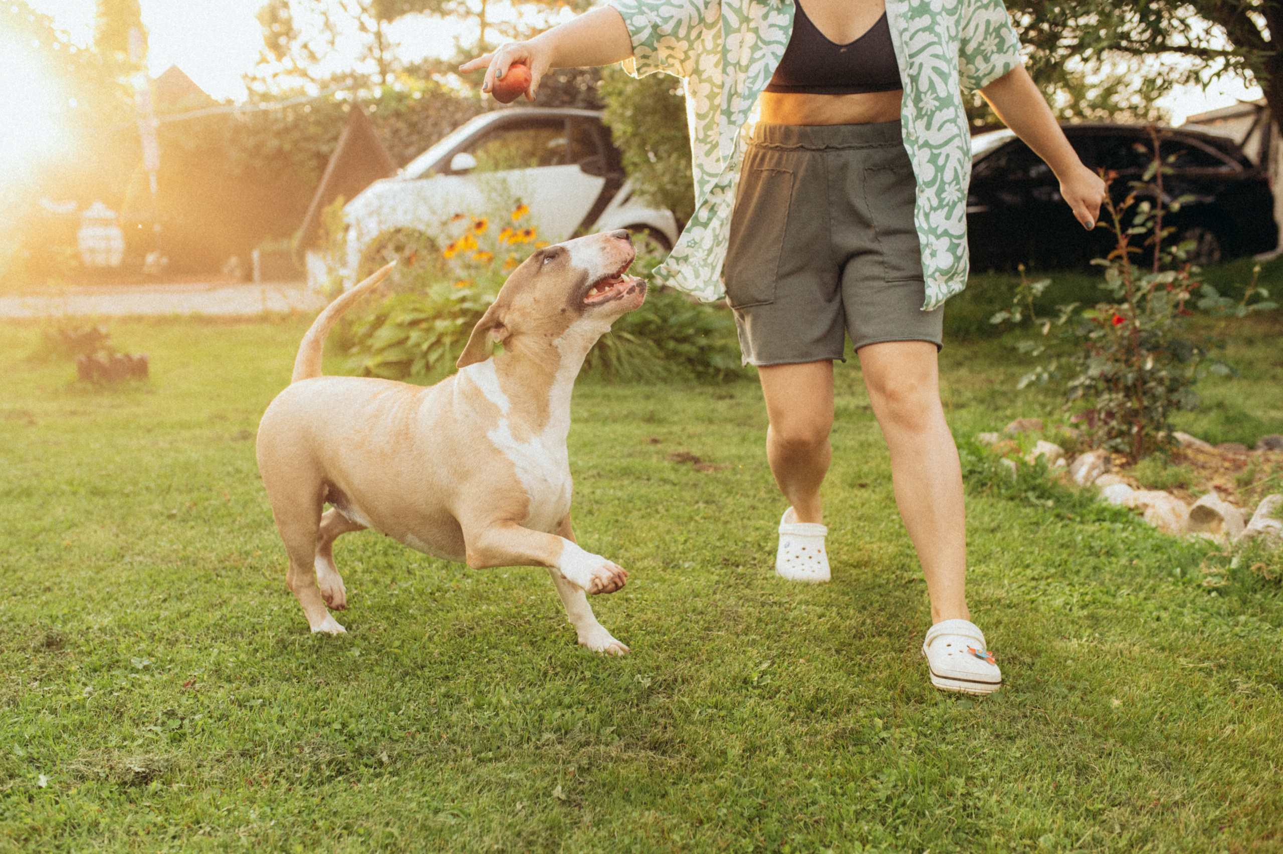 Дуся. Фотограф анималист в Москве Ольга Агушева