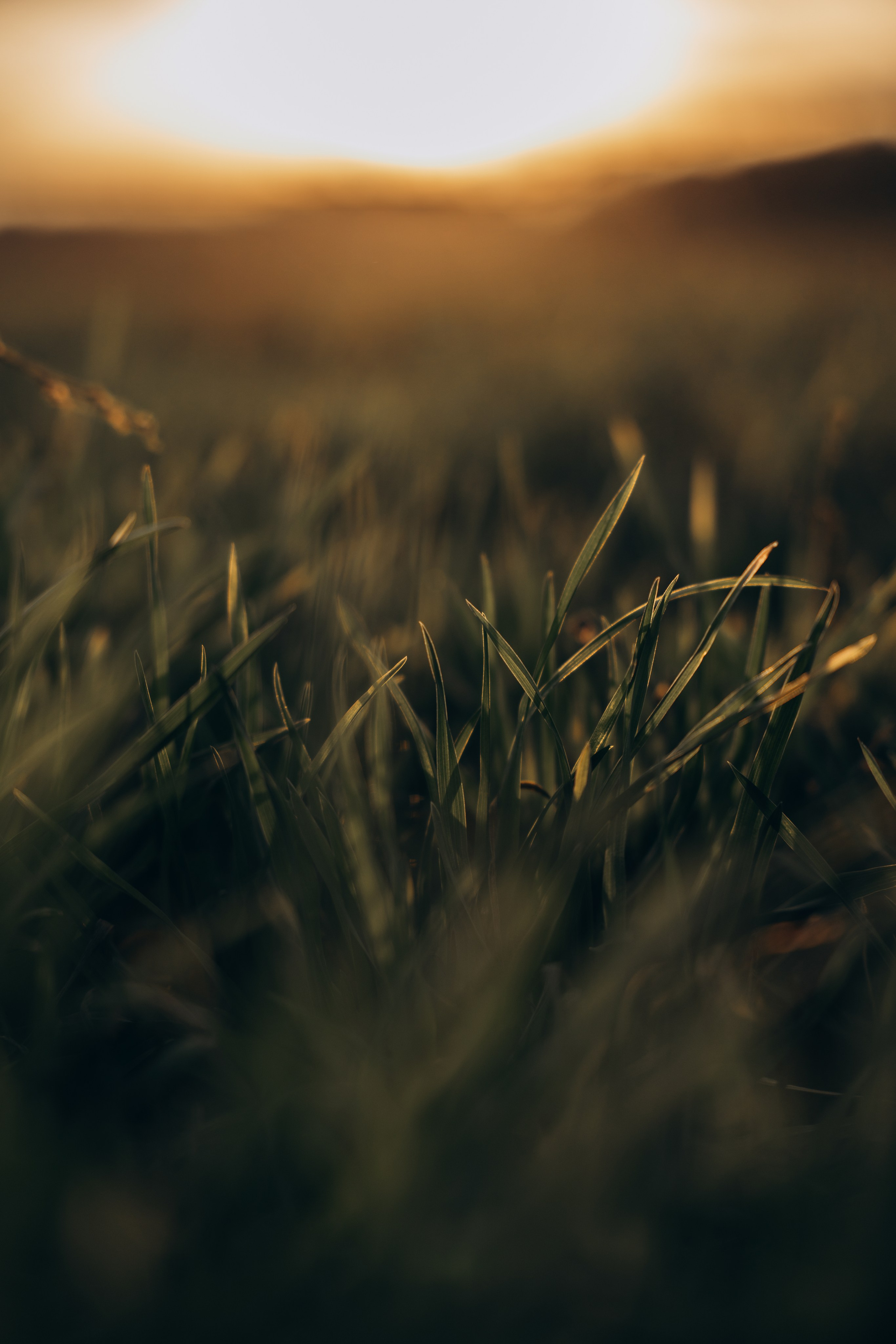 Аня, Матвей и Эбби. Фотограф Мария Миллс | Минск