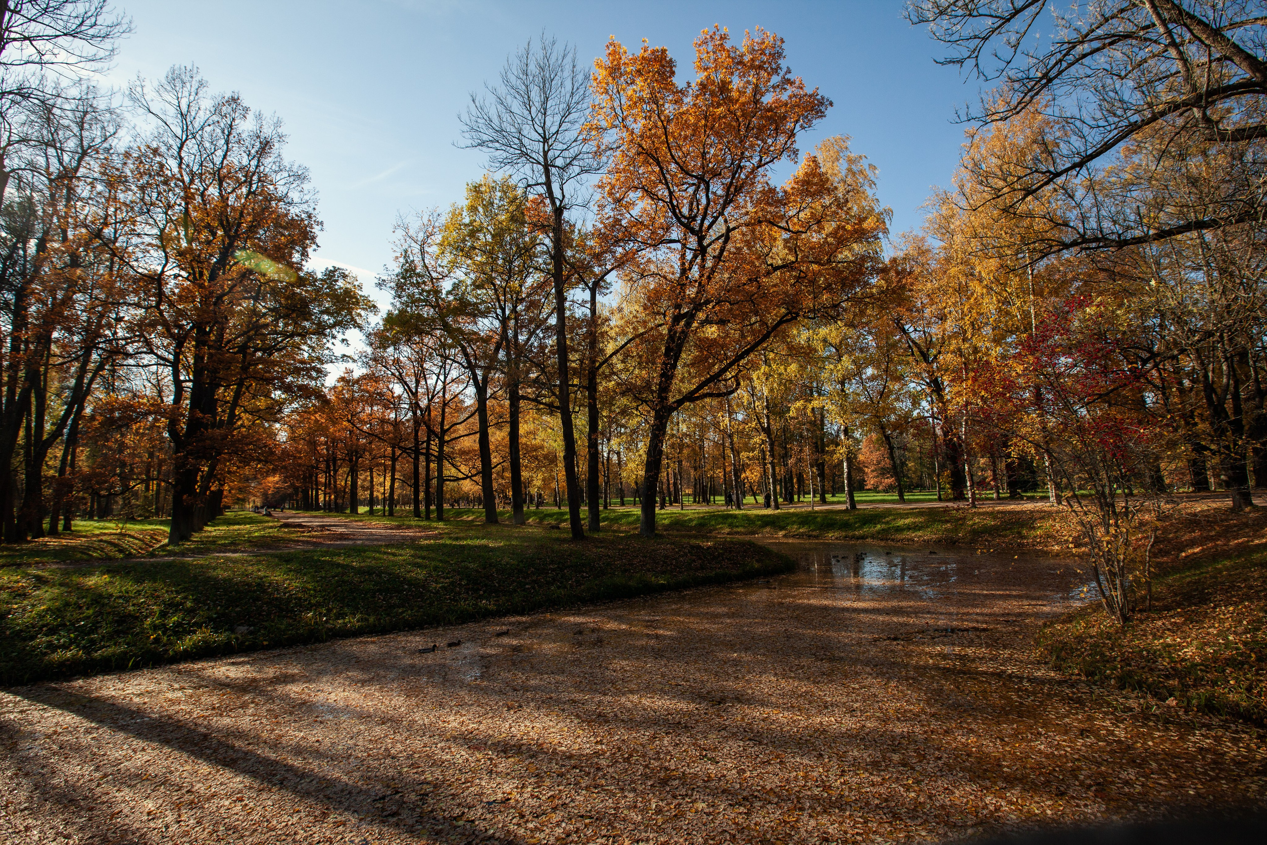 Царское село. Пейзажный и семейный фотограф в Санкт-Петербурге Александр Белов
