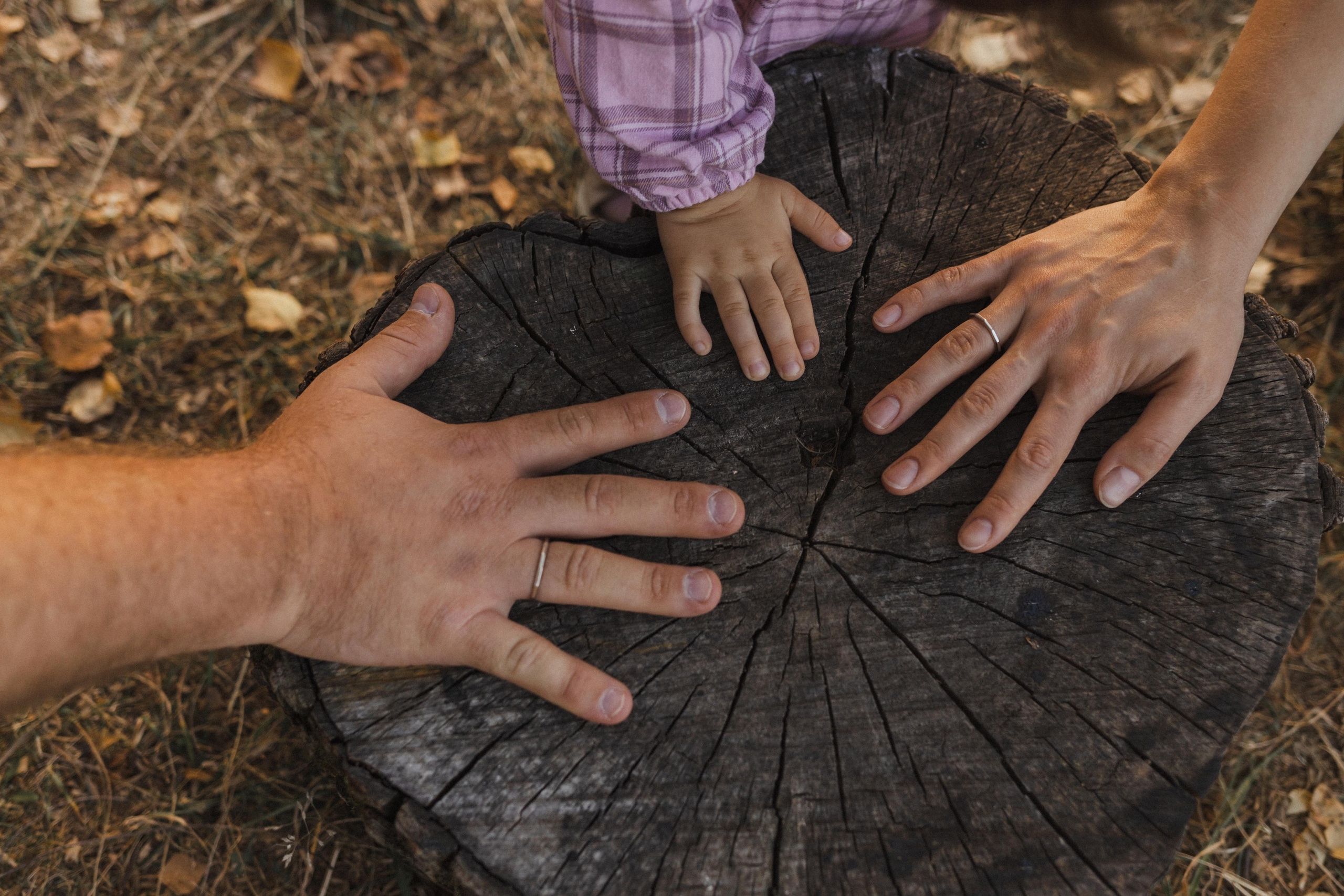 Кирилл, Галя и Бэлла. Семейный фотограф в Москве