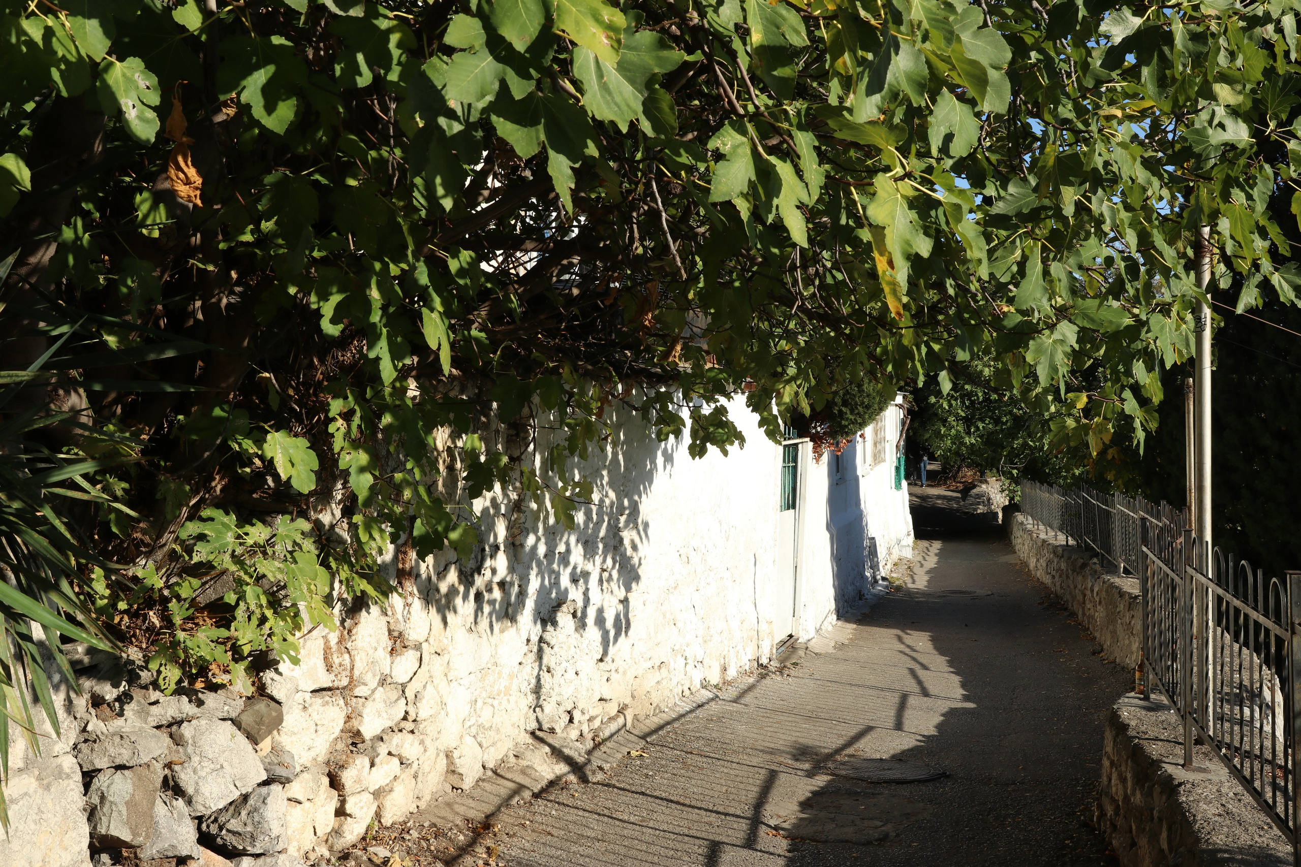 Крым. ЮБК (Гурзуф, Судак и их окрестности). Ноябрь 2023. Путешественник-фотограф из Санкт-Петербурга Татьяна Свистулина